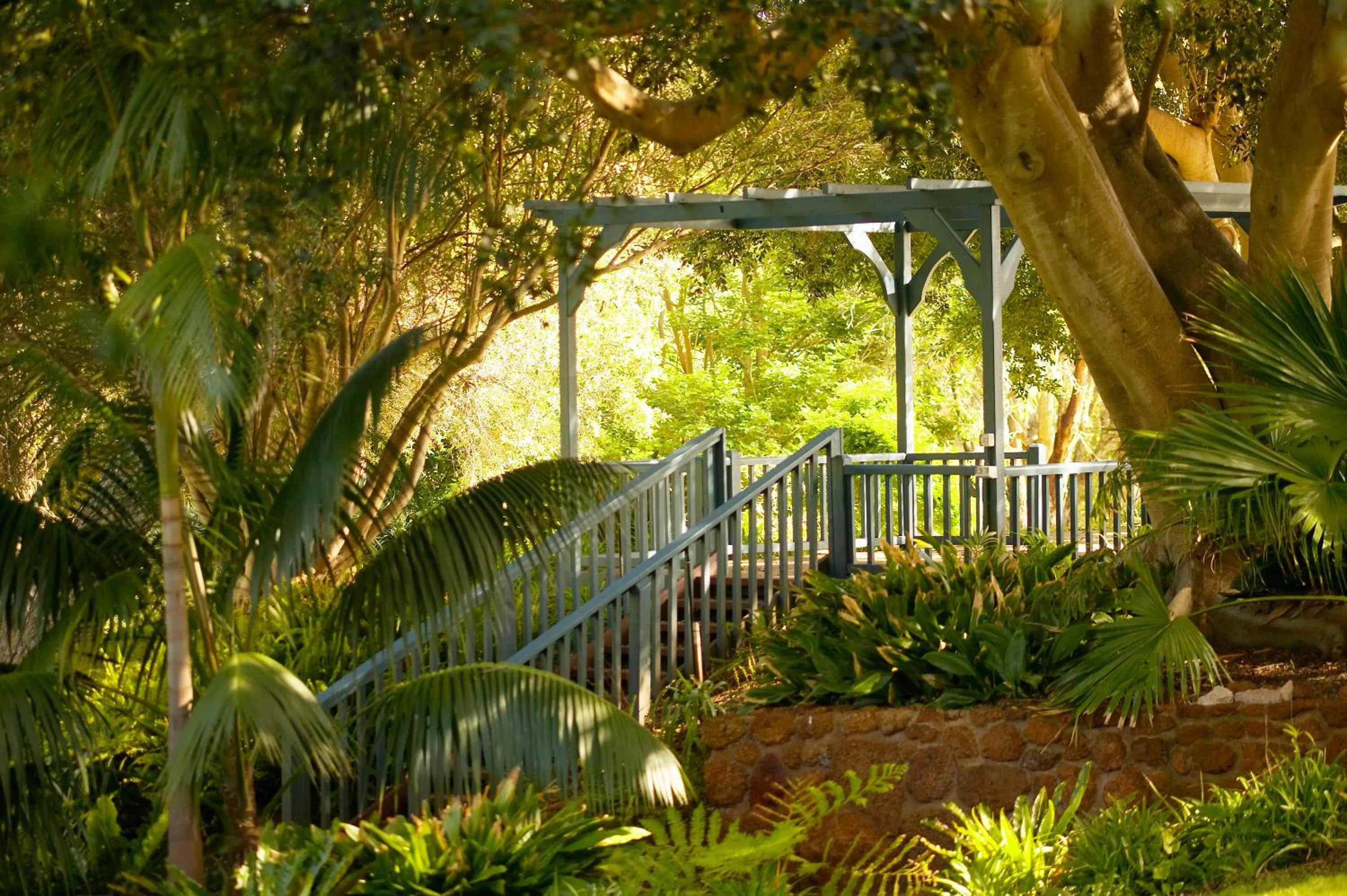 Garden in Seashells Yallingup