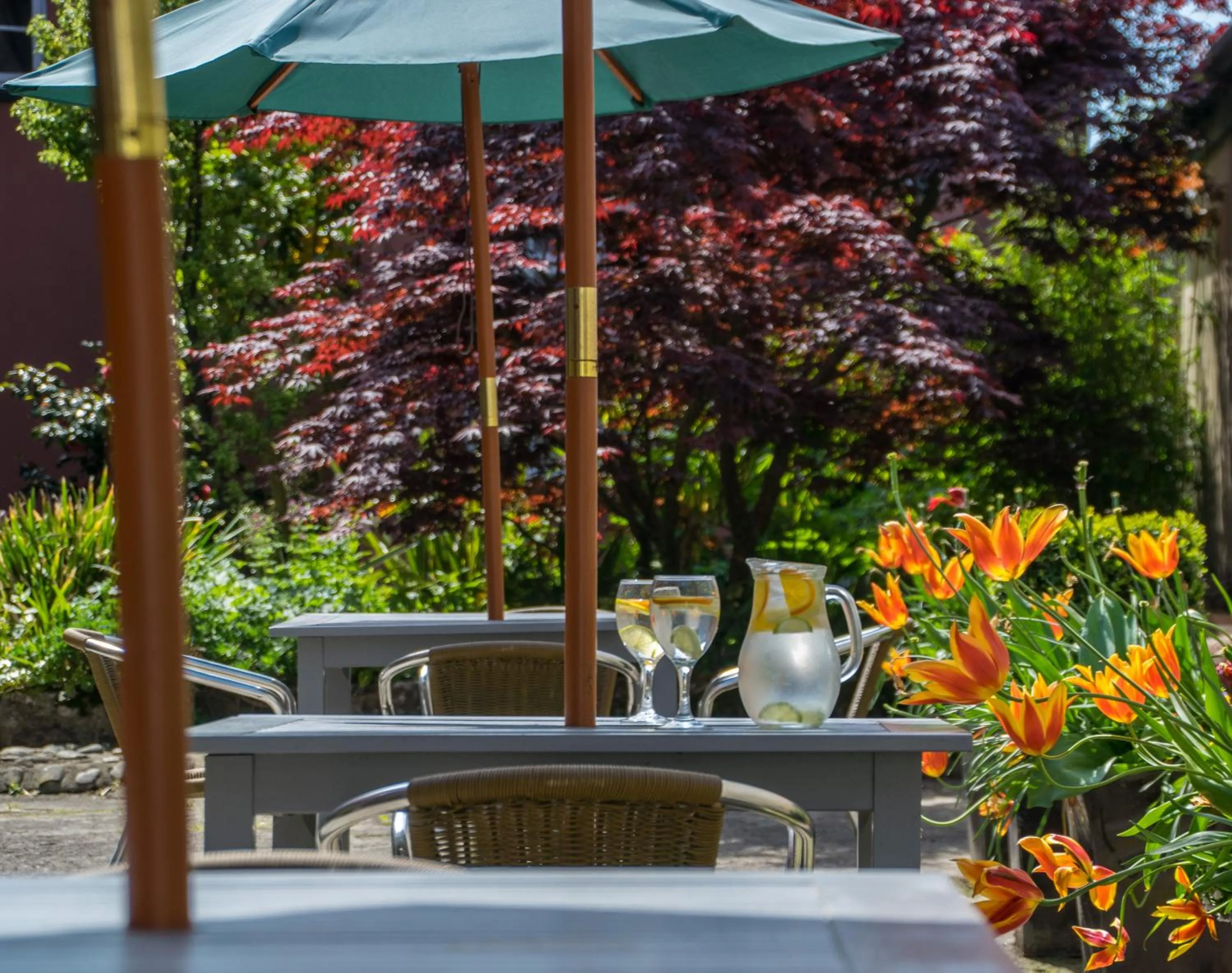 Garden in Old Kings Arms Hotel