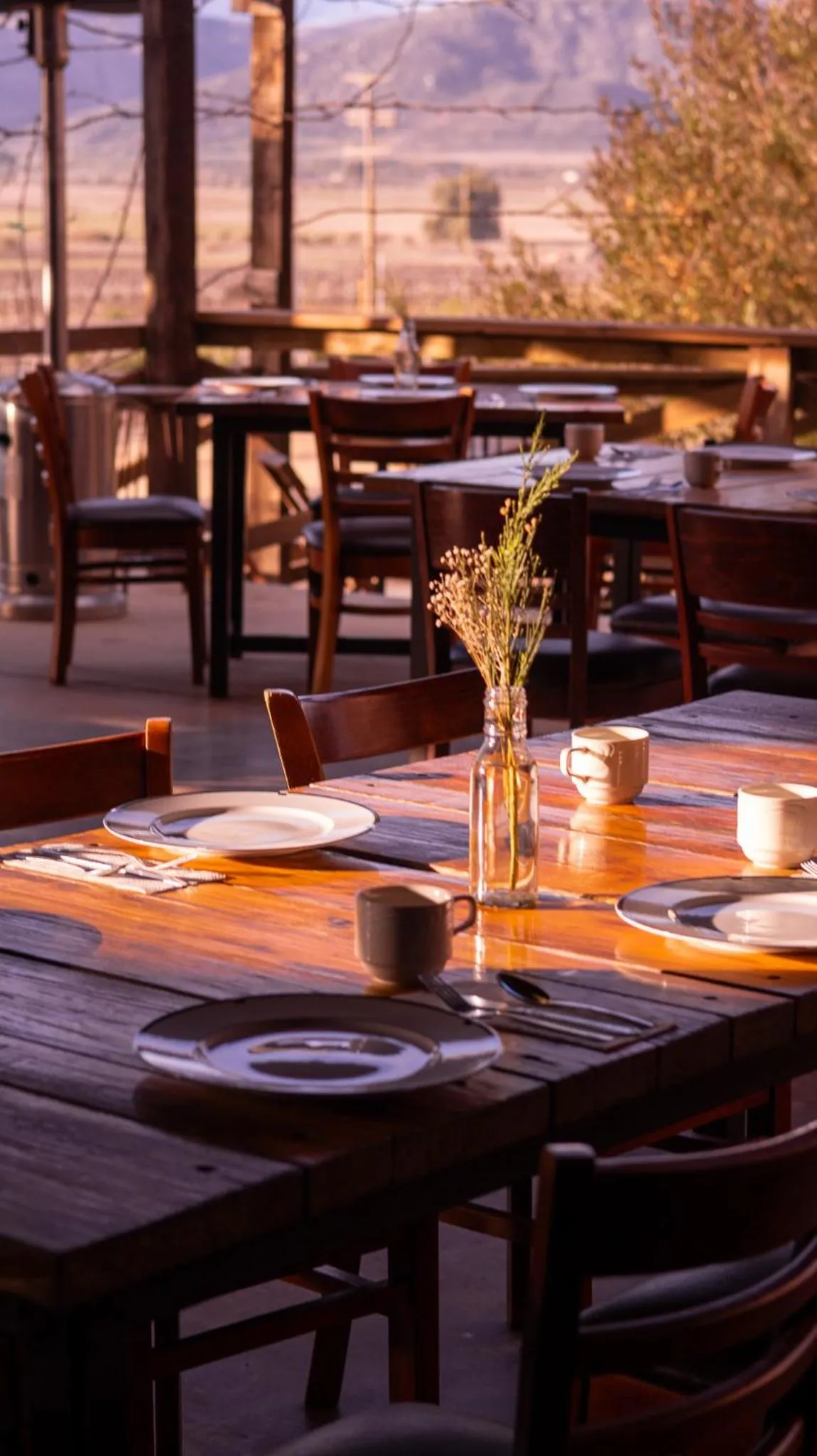 Restaurant/places to eat in Finca el Mirador