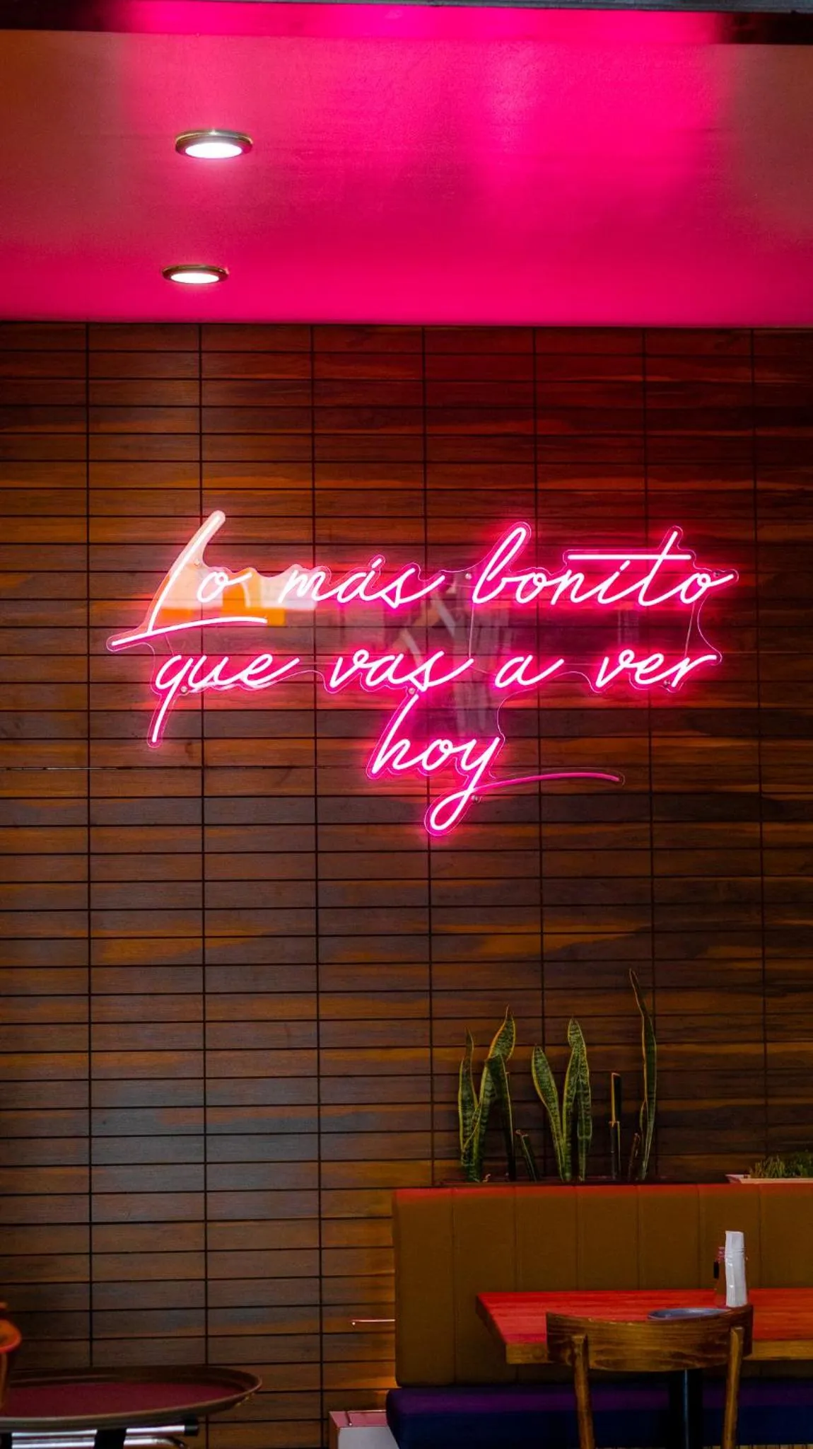 Restaurant/places to eat in Finca el Mirador