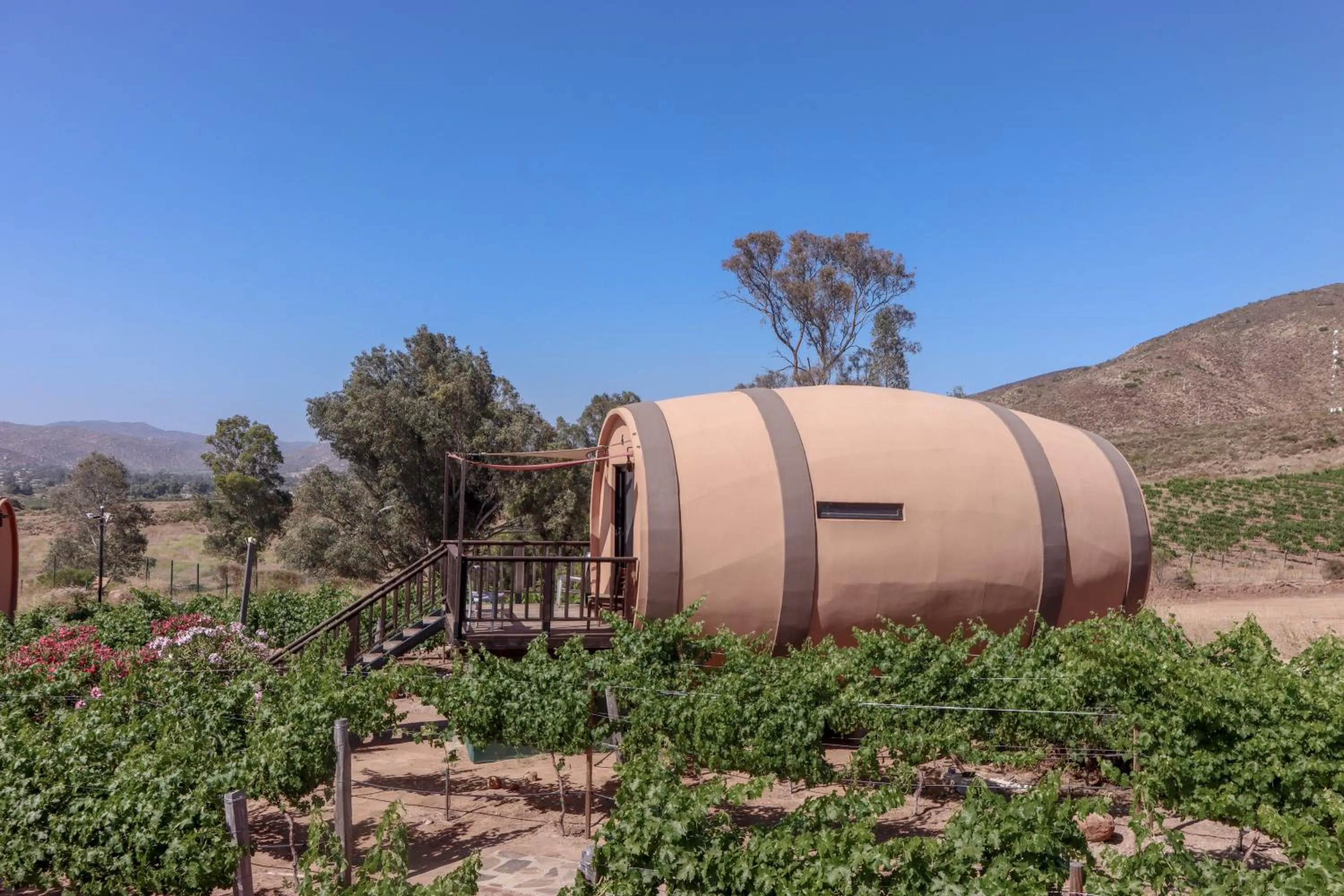View (from property/room) in Finca el Mirador