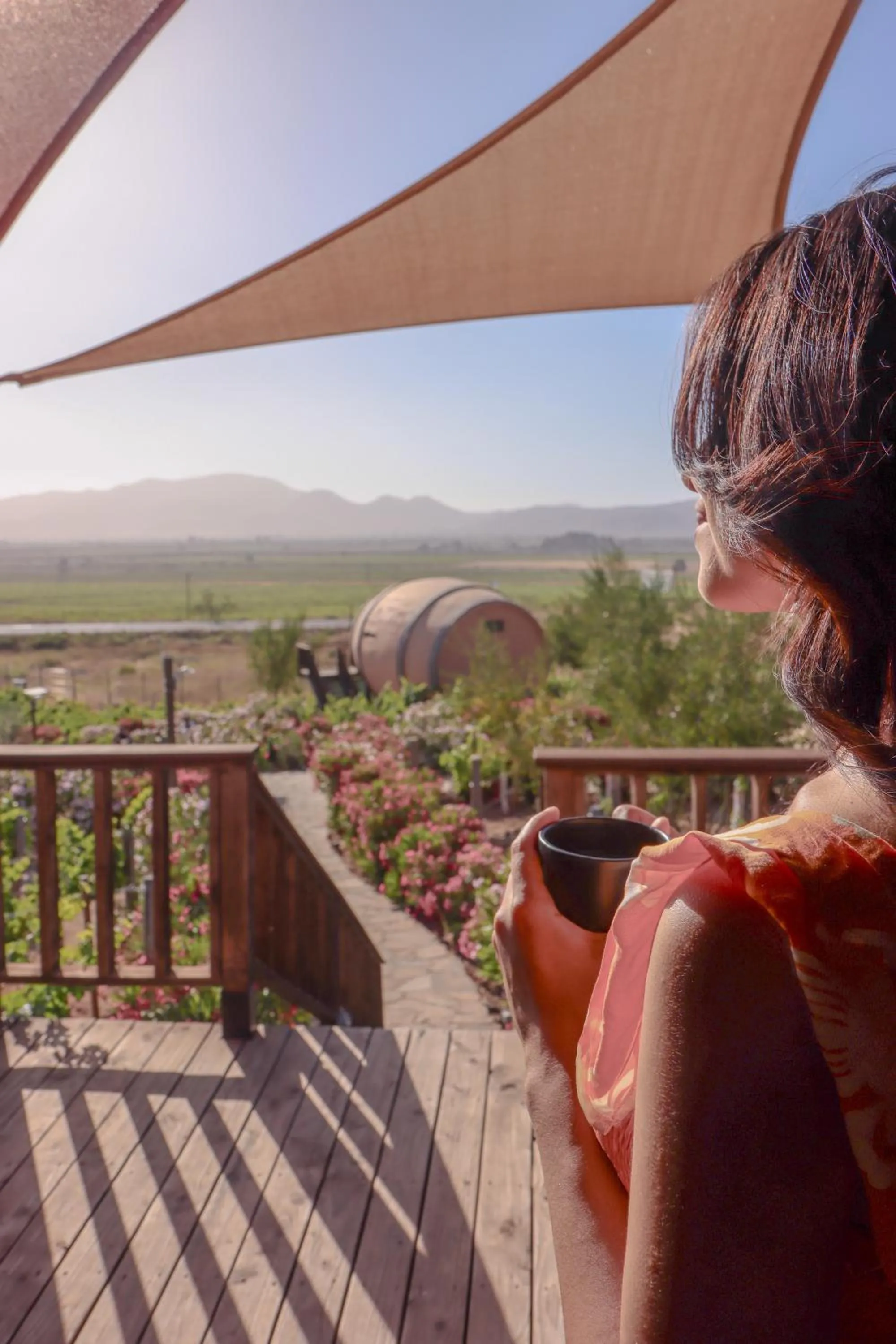 Day in Finca el Mirador