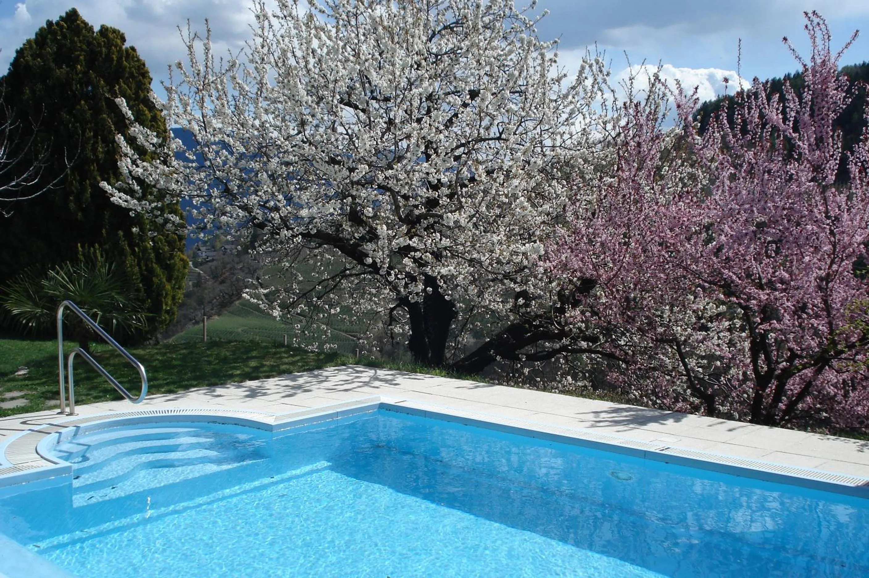 Swimming pool in Aparthotel Abiná Lana Höhe