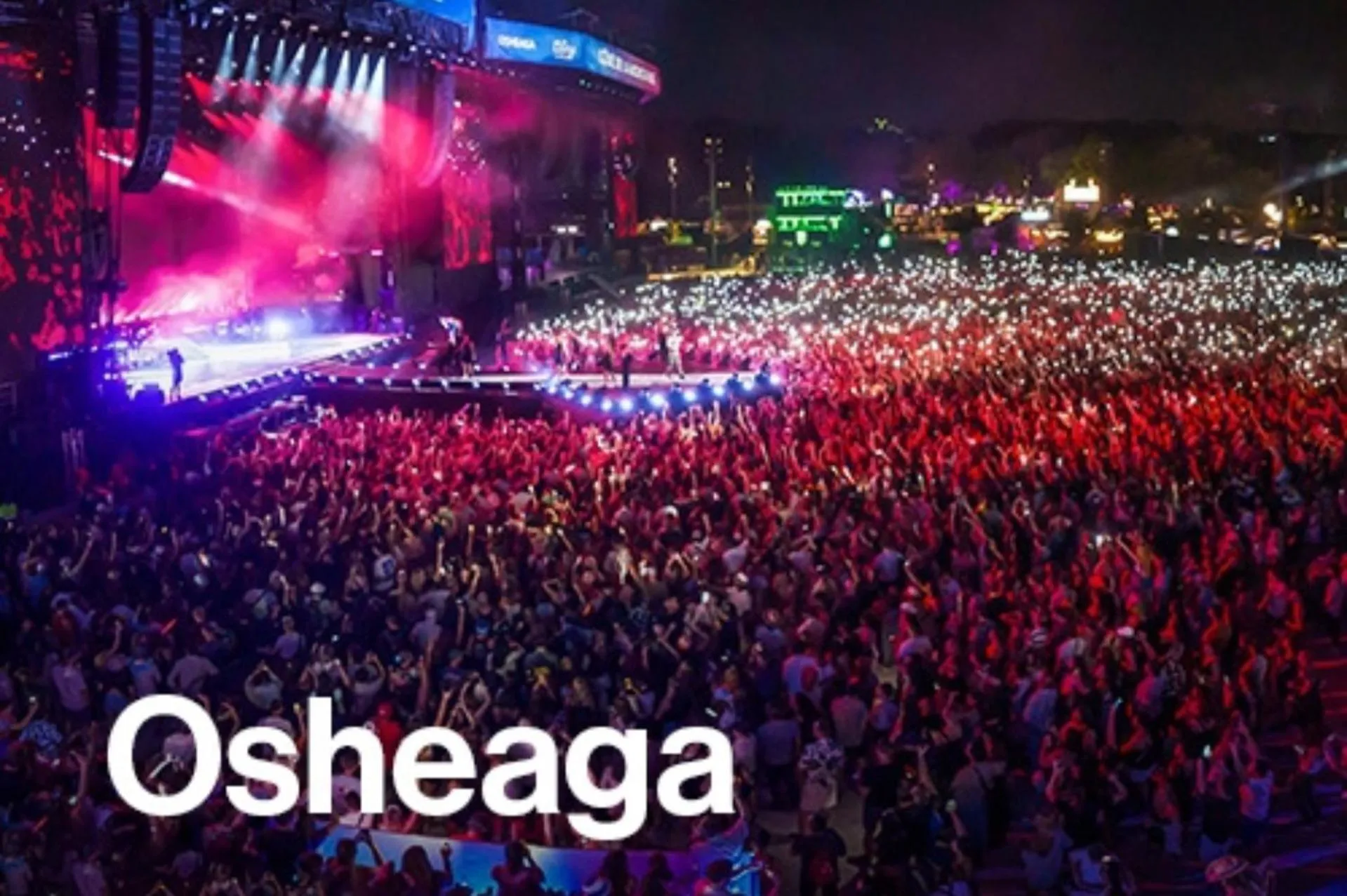 Night in LiV MTL Plato