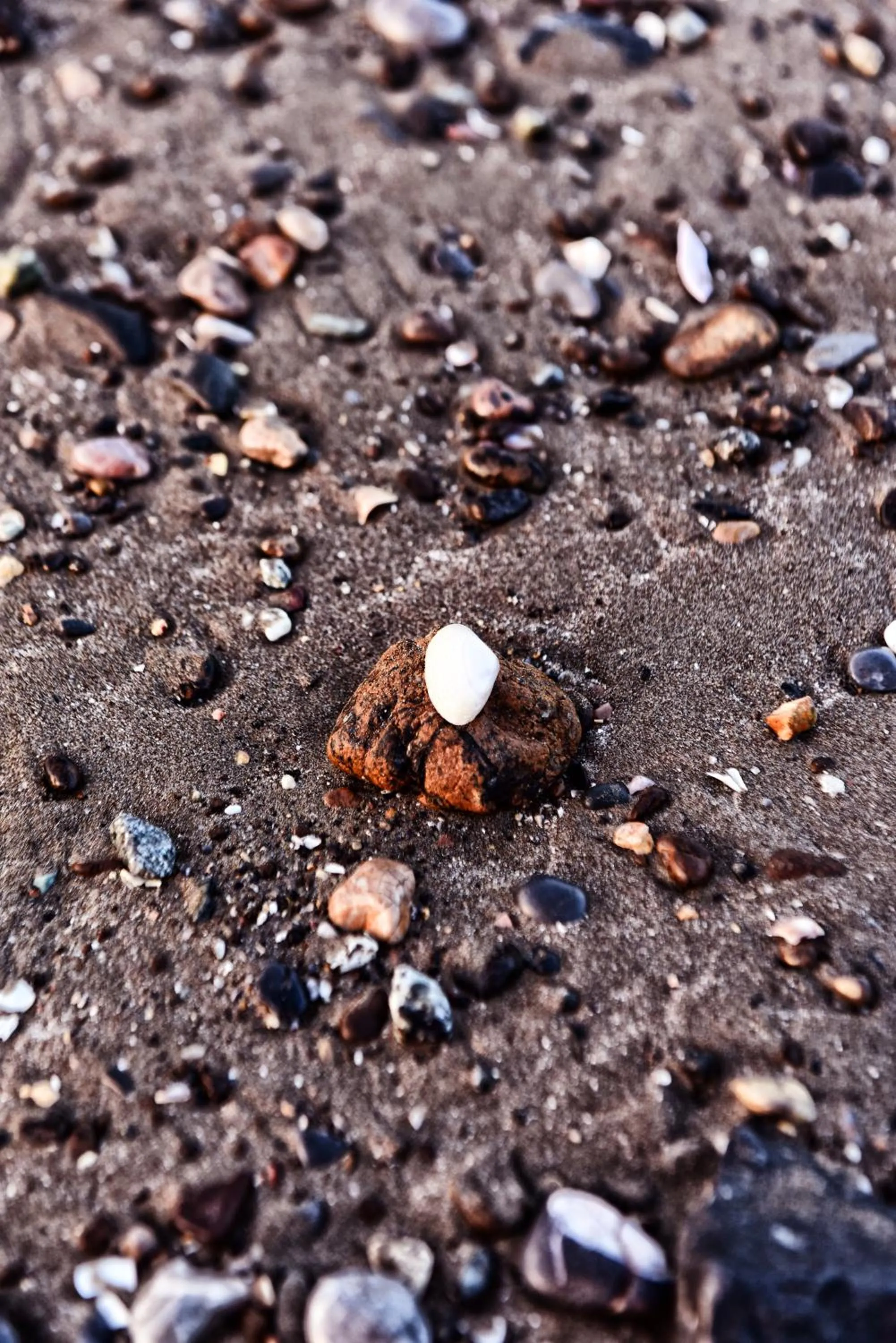 Beach in Al Bahjah Hotel