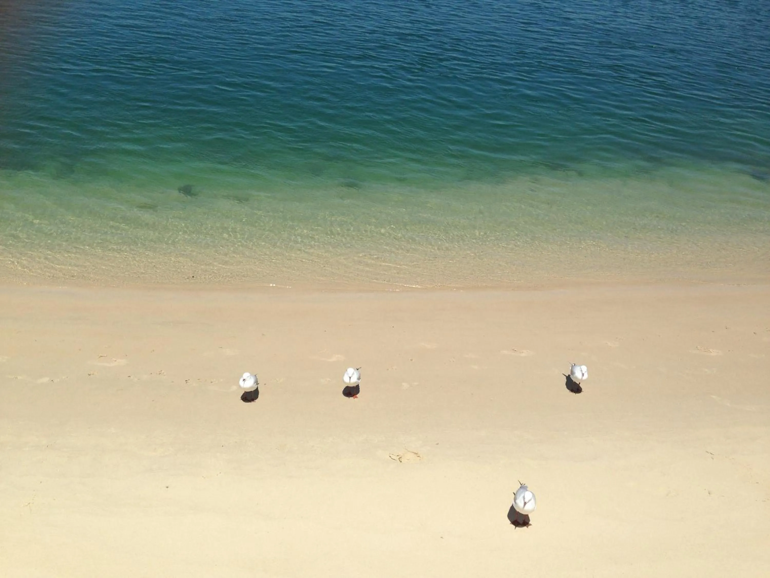 Beach in XYL Holiday Inn