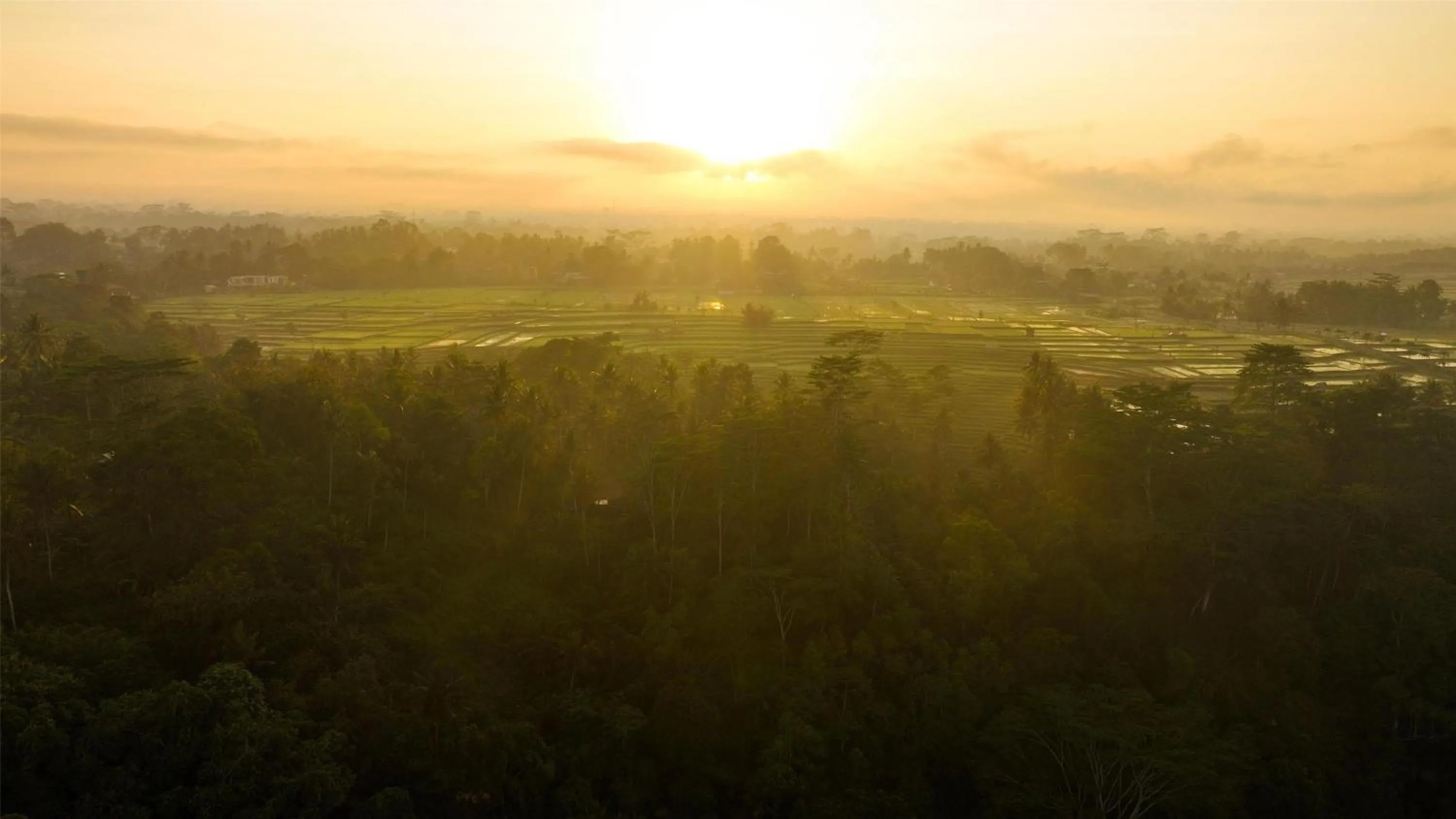 Location in Alila Ubud