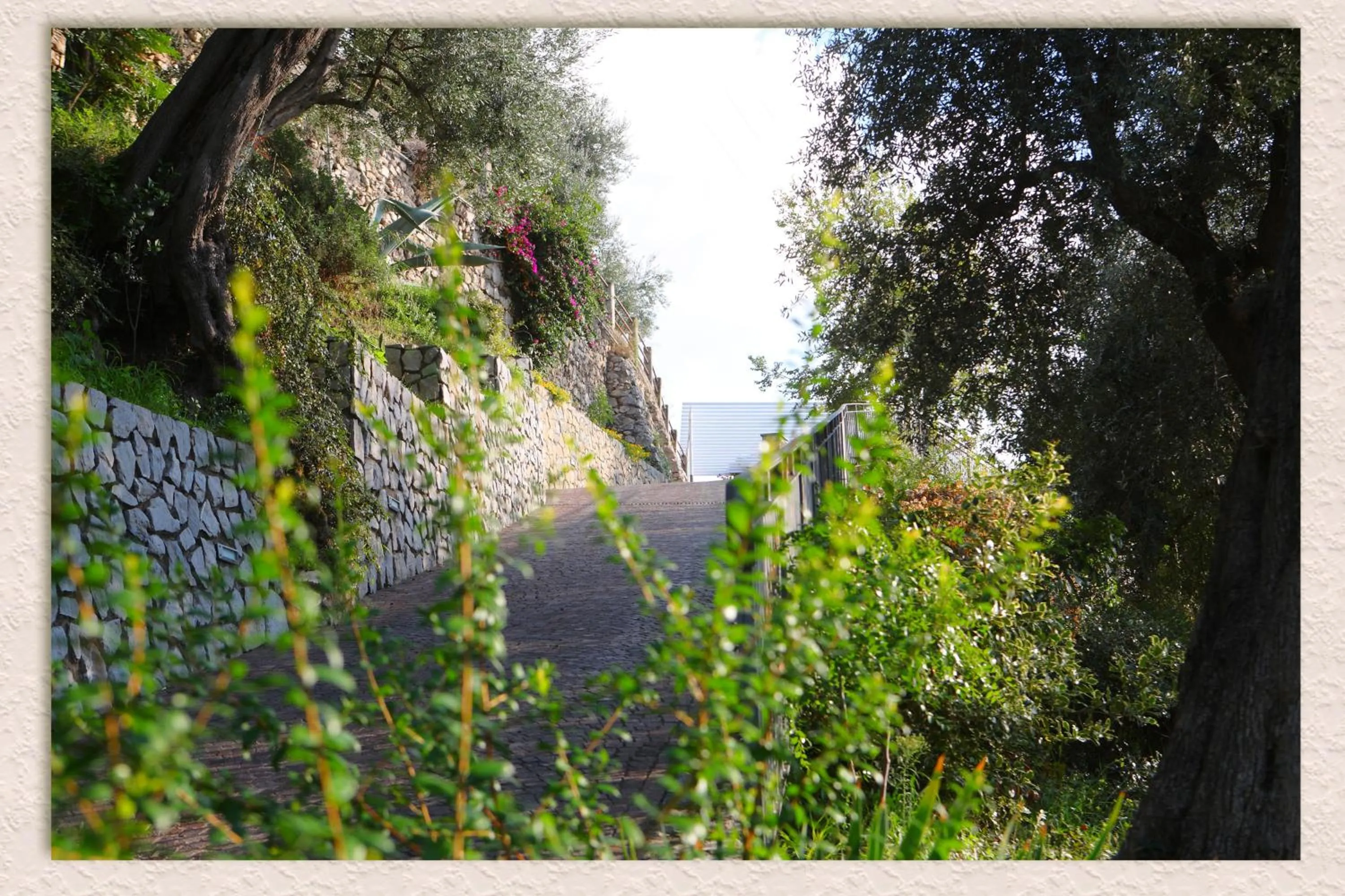 Day in Villa Ketty Resort