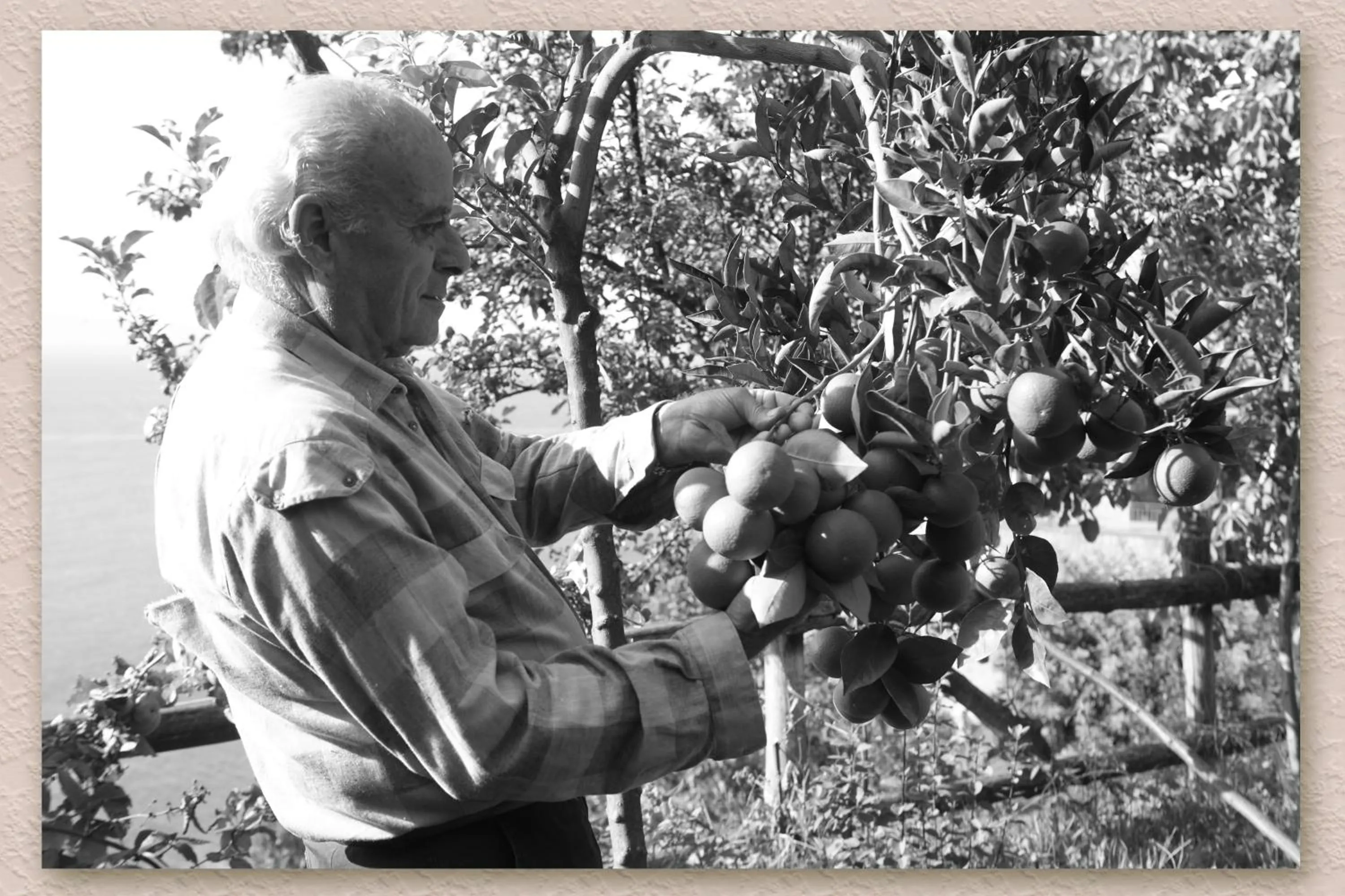 Other in Villa Ketty Resort