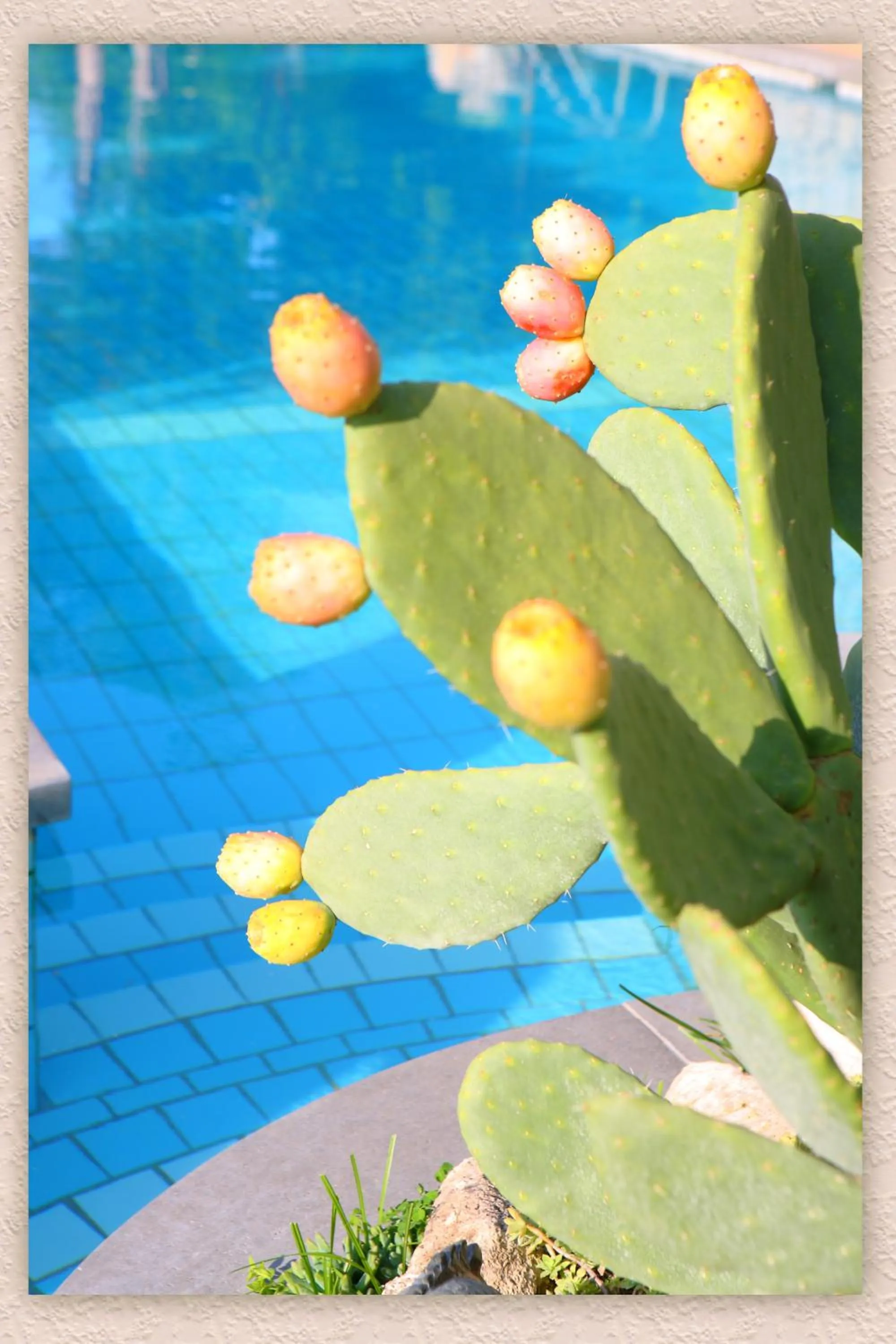 Day in Villa Ketty Resort