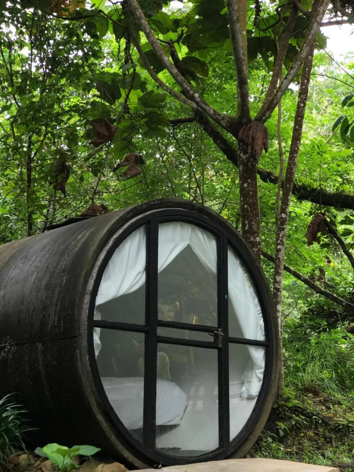 Day in Time Capsule Retreat, Sungai Lembing