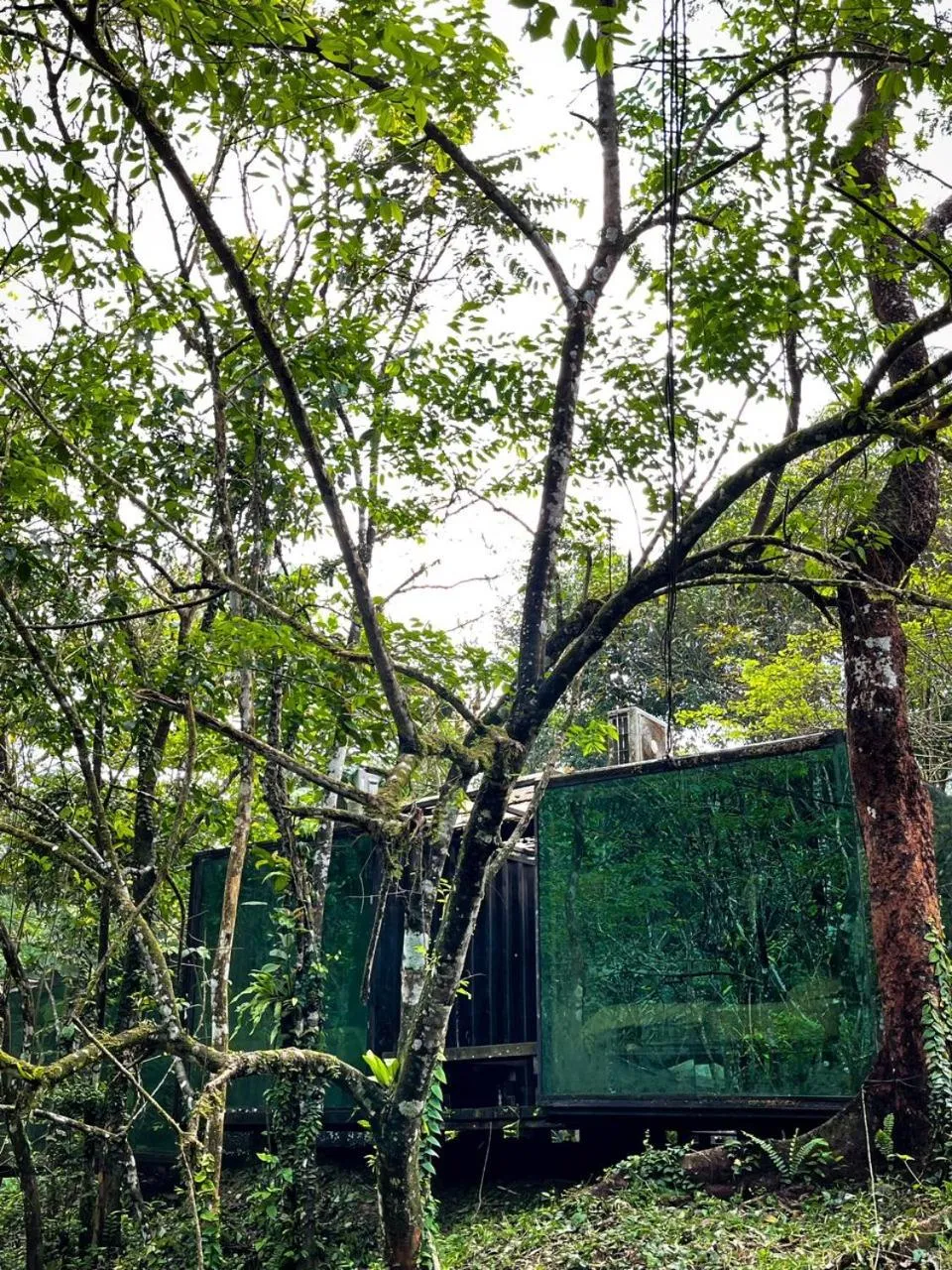 Day in Time Capsule Retreat, Sungai Lembing