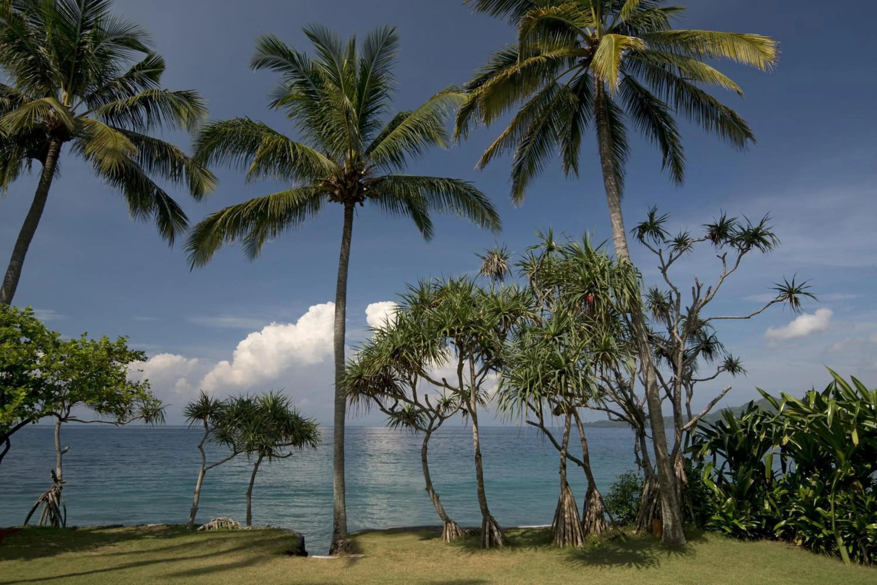 Location in Alila Manggis