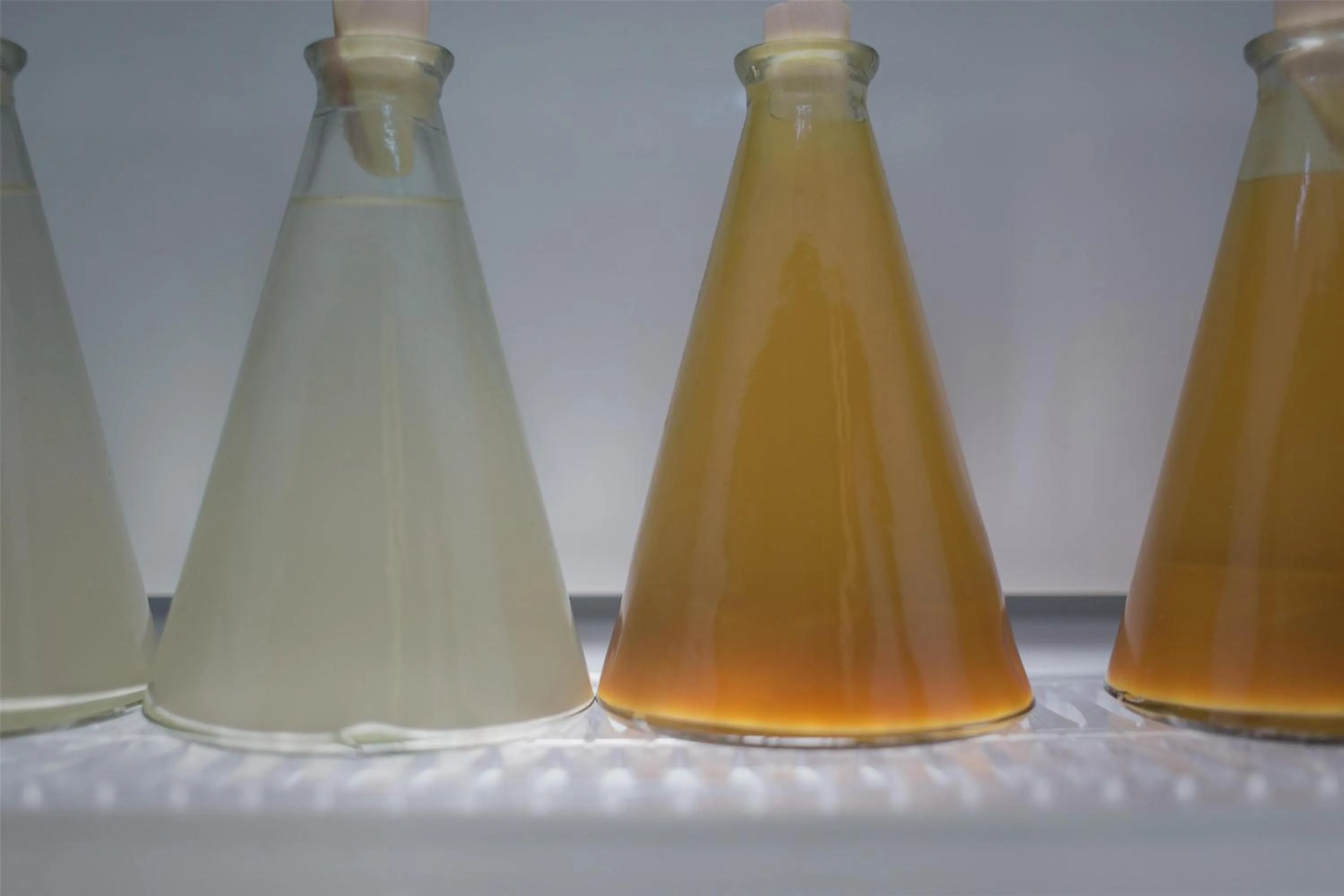 Restaurant/places to eat in Alila Manggis