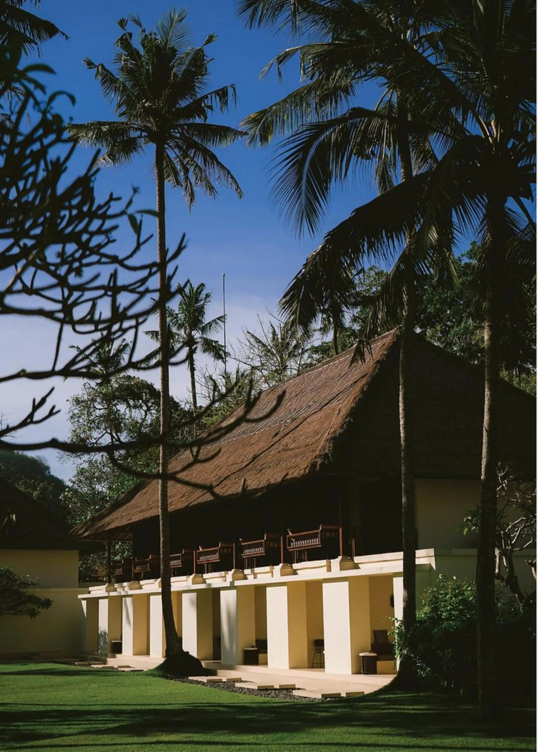 Alila Manggis
