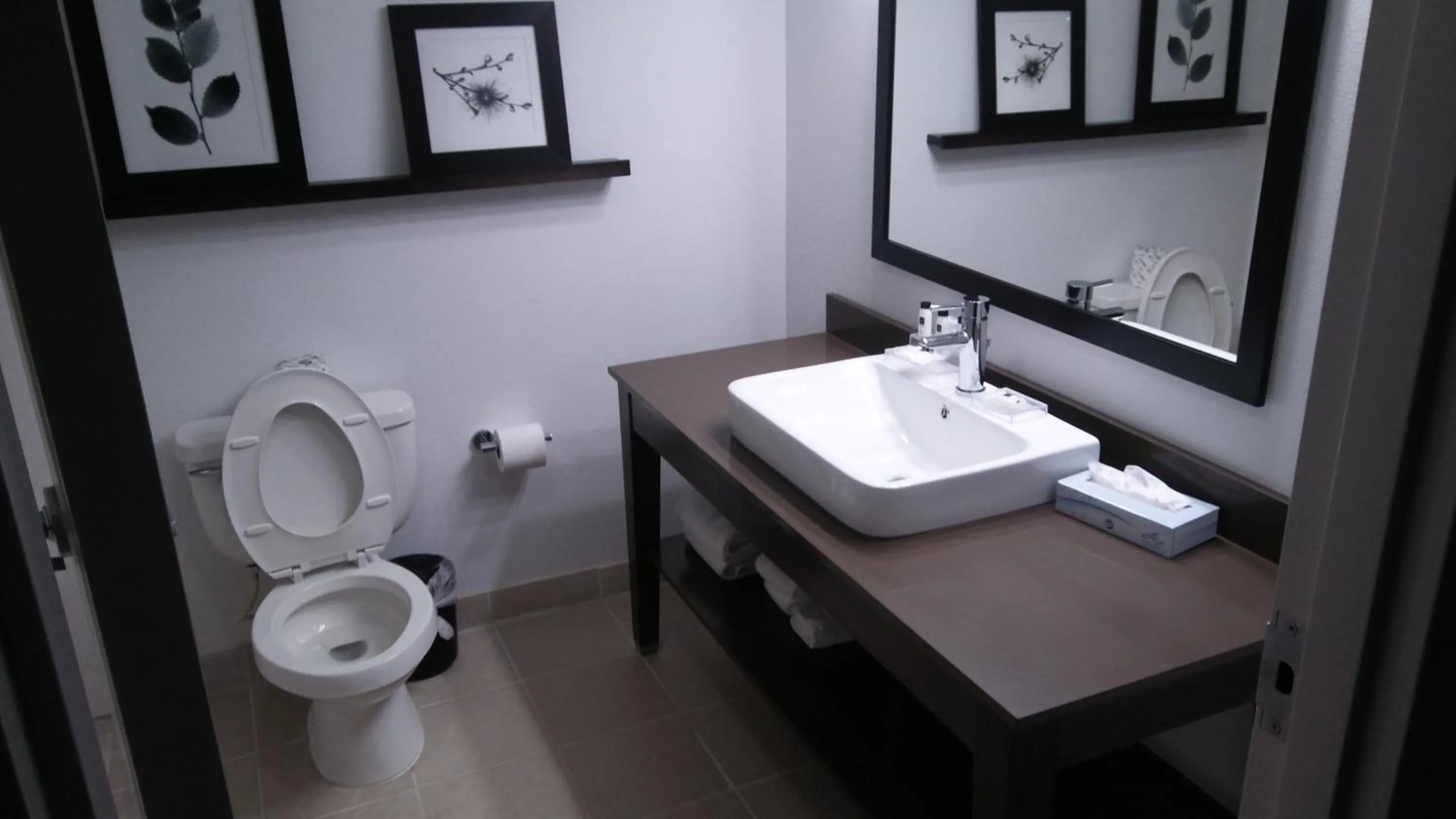 One-Bedroom Queen Suite in Country Inn & Suites by Radisson, Roanoke, VA