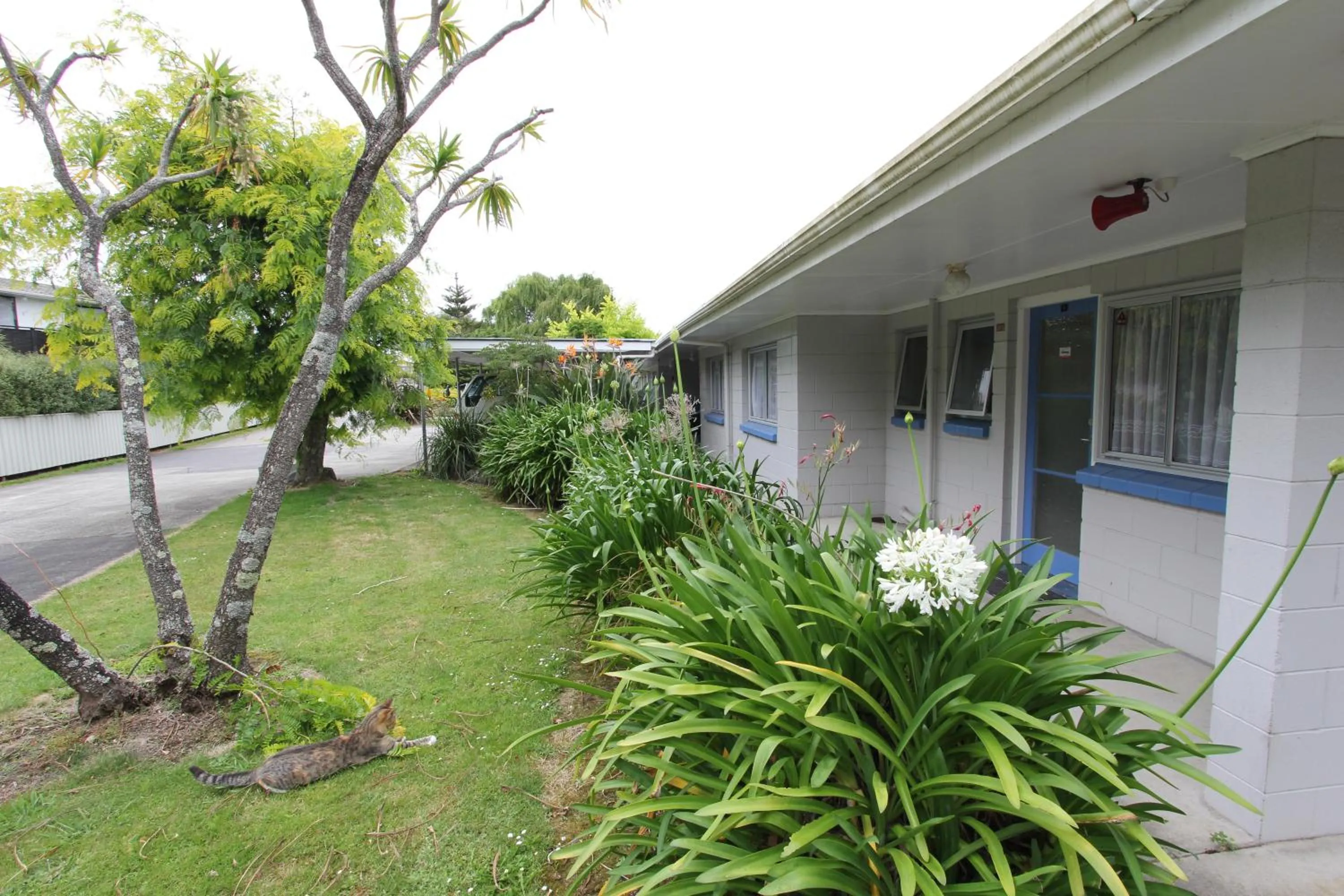 Garden in Waiuku Motel