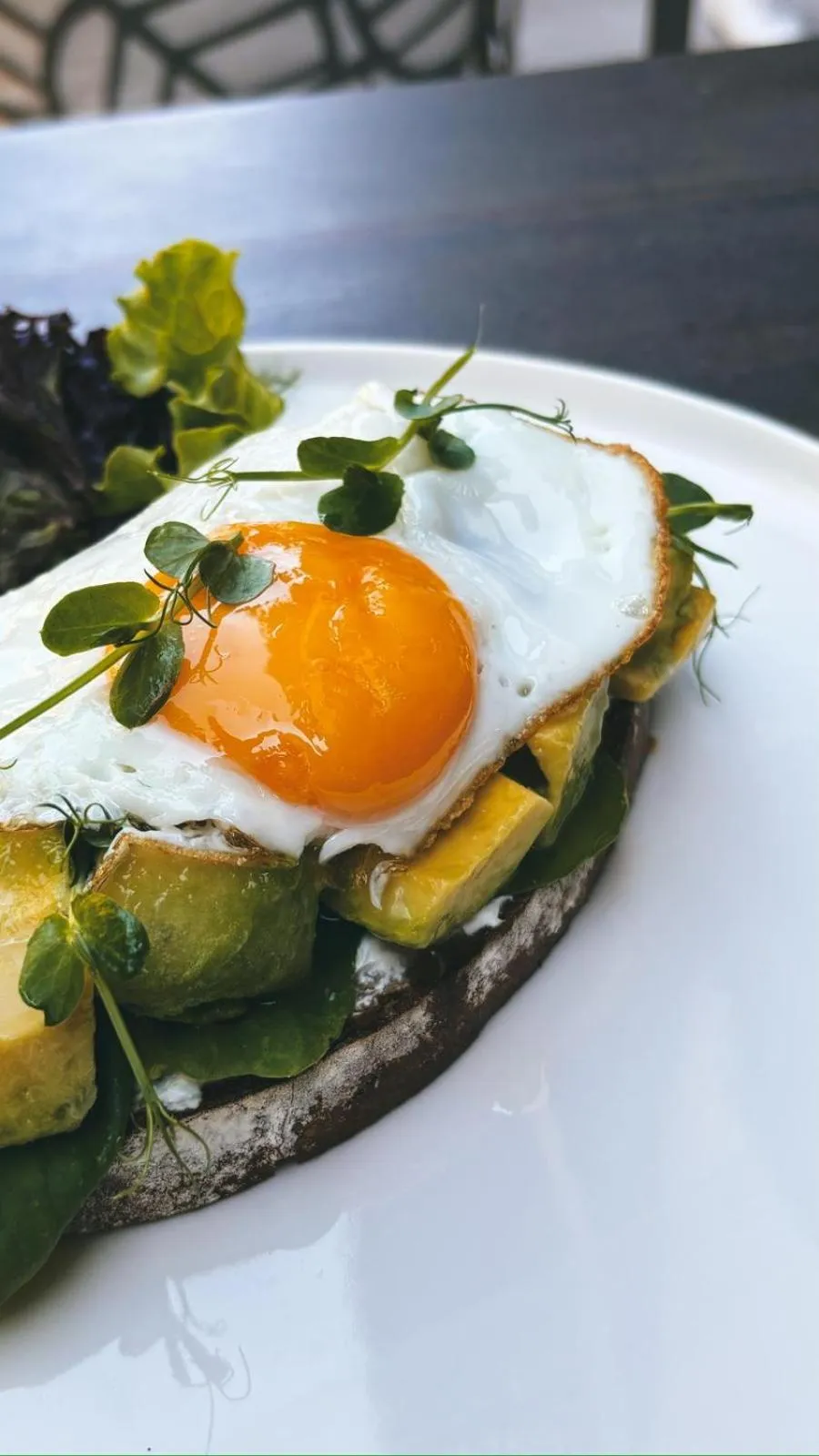 Restaurant/places to eat in Casa Sur Antalya