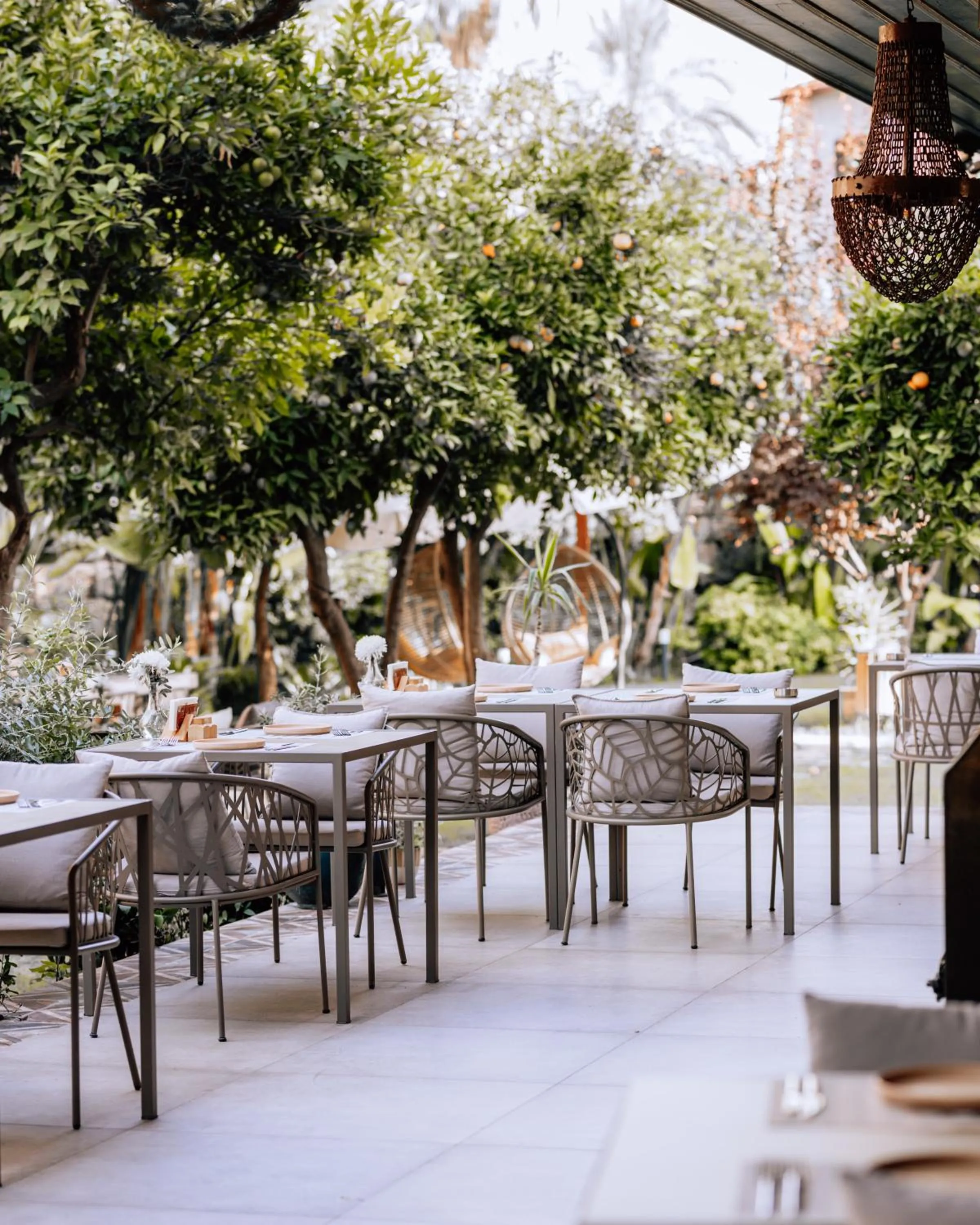 Restaurant/places to eat in Casa Sur Antalya