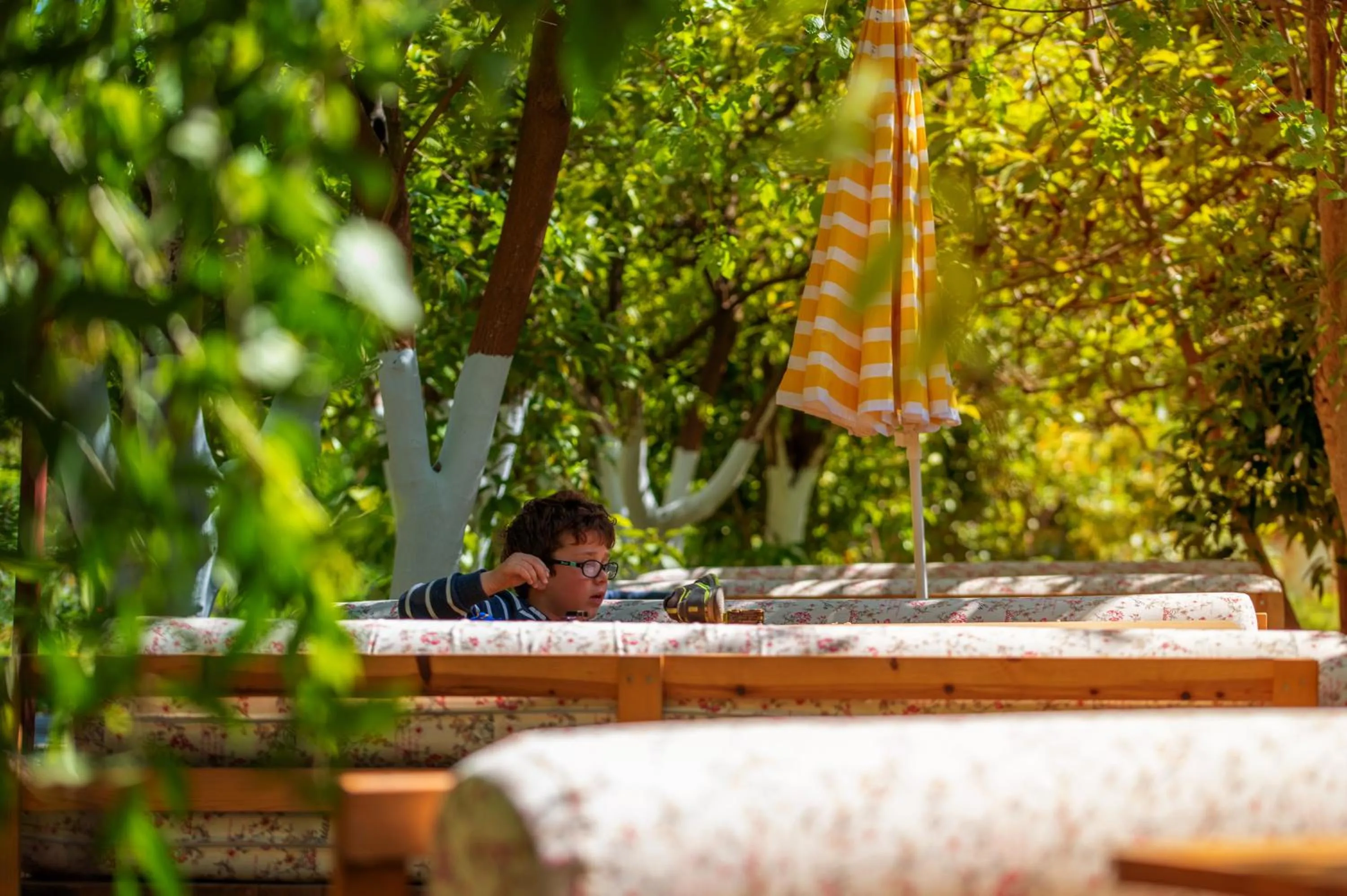 Garden in San Simon Hotel