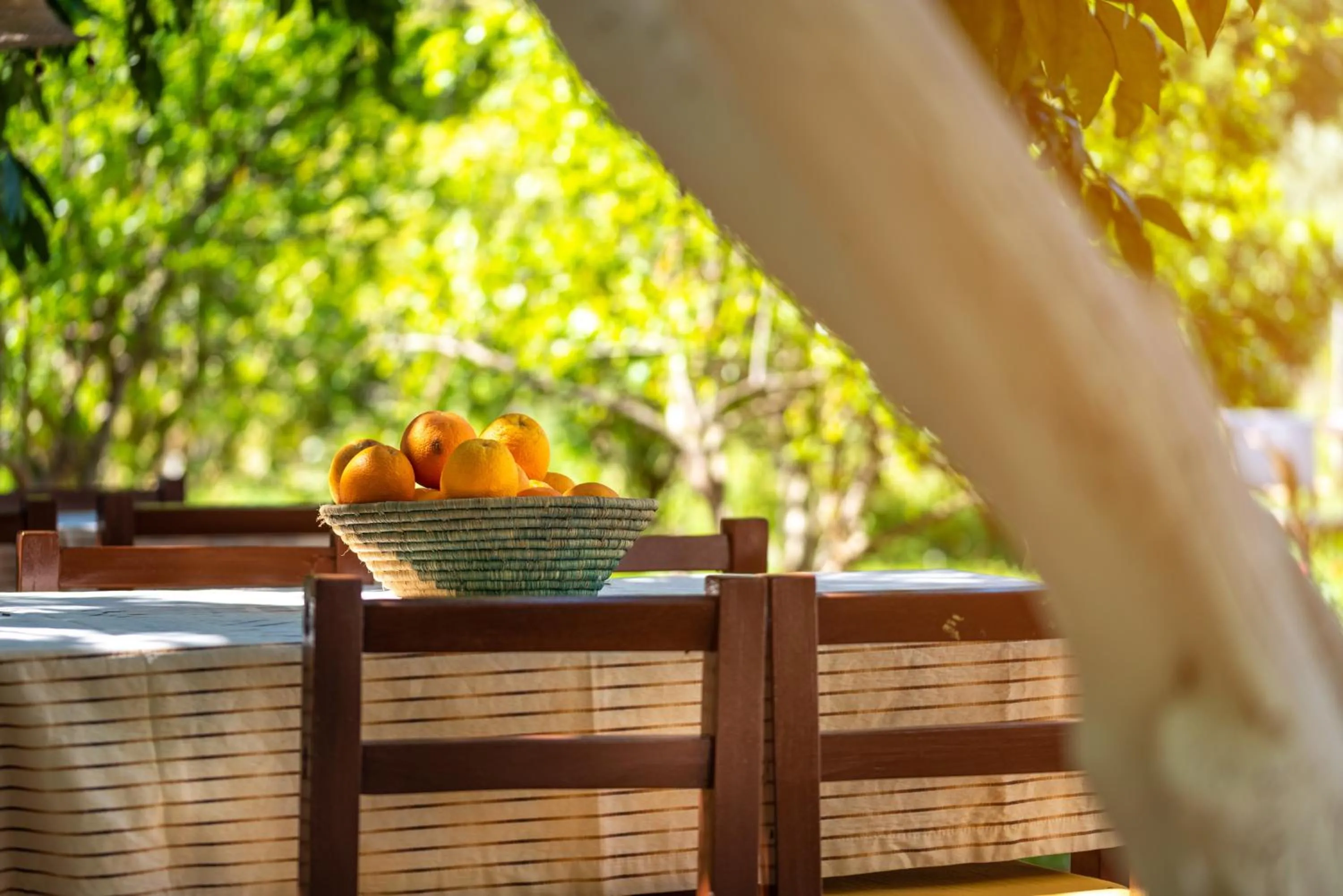 Buffet breakfast in San Simon Hotel