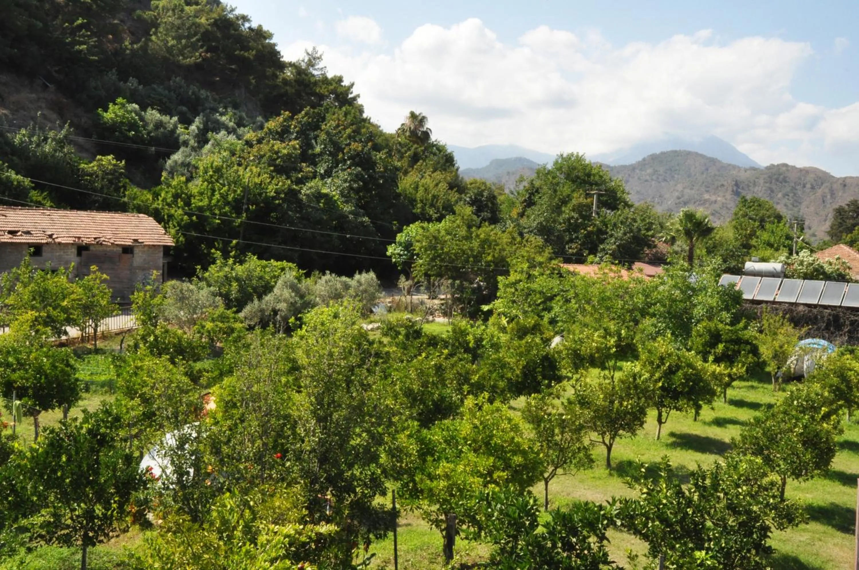 Natural landscape in San Simon Hotel
