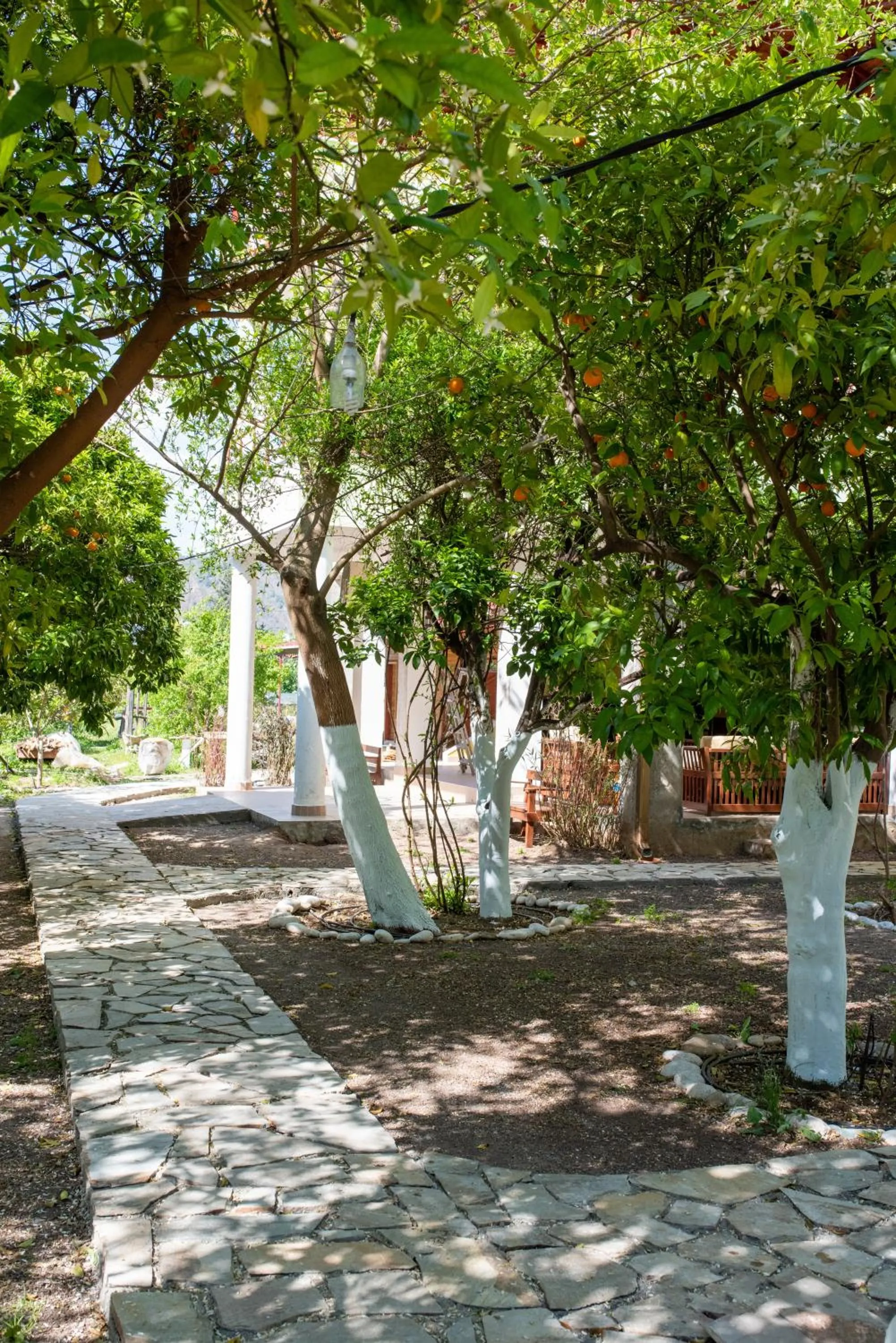 Garden in San Simon Hotel