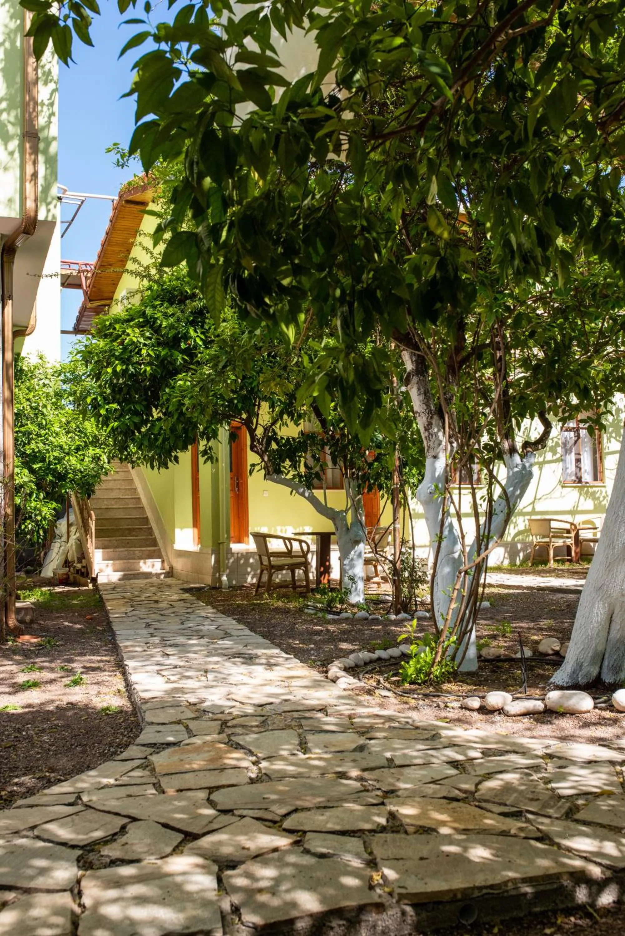 Garden view in San Simon Hotel