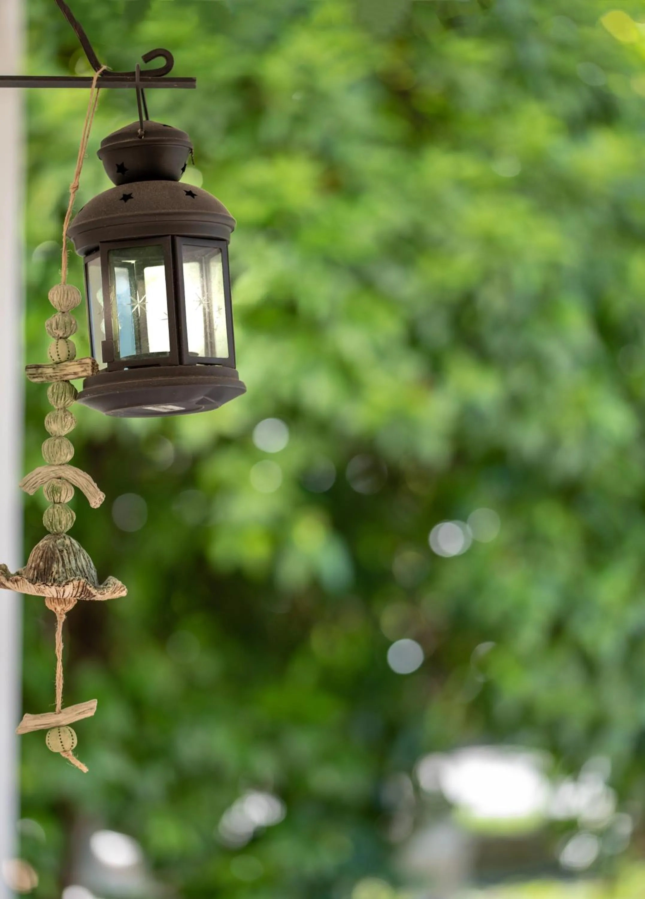 Garden in San Simon Hotel