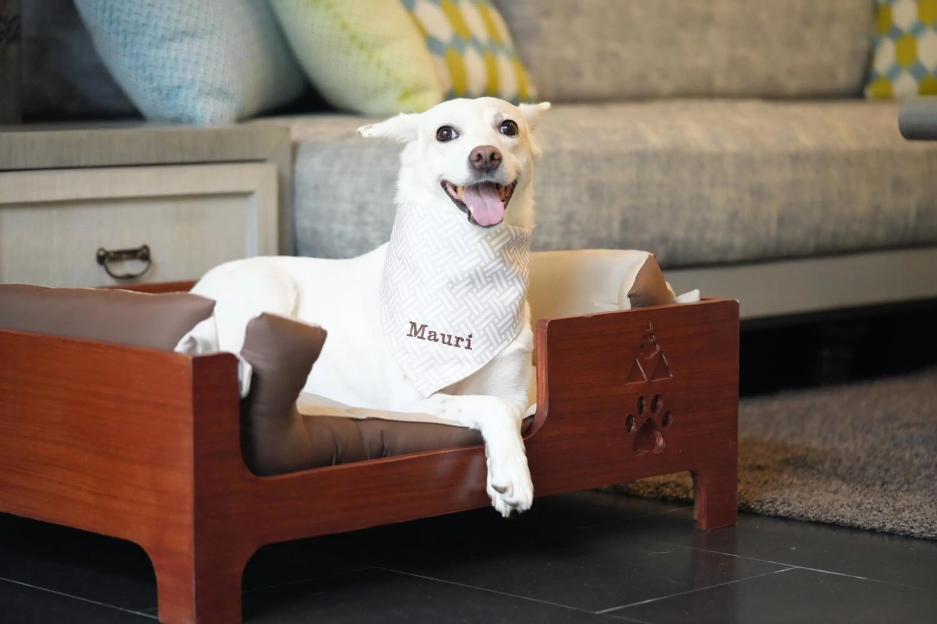 Pets in Anantara Mai Khao Phuket Villas