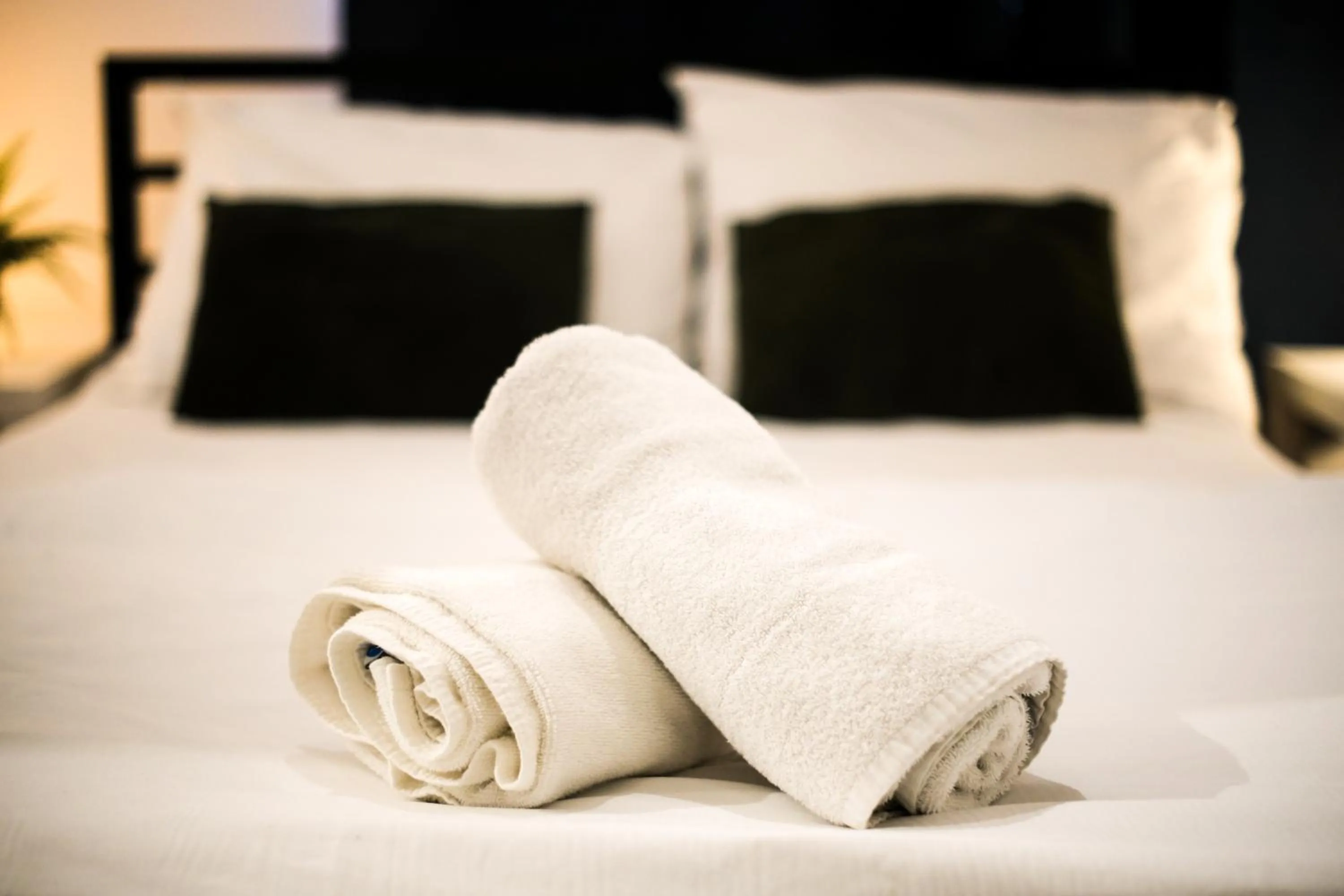 Bed in Whole Wide World Hostel