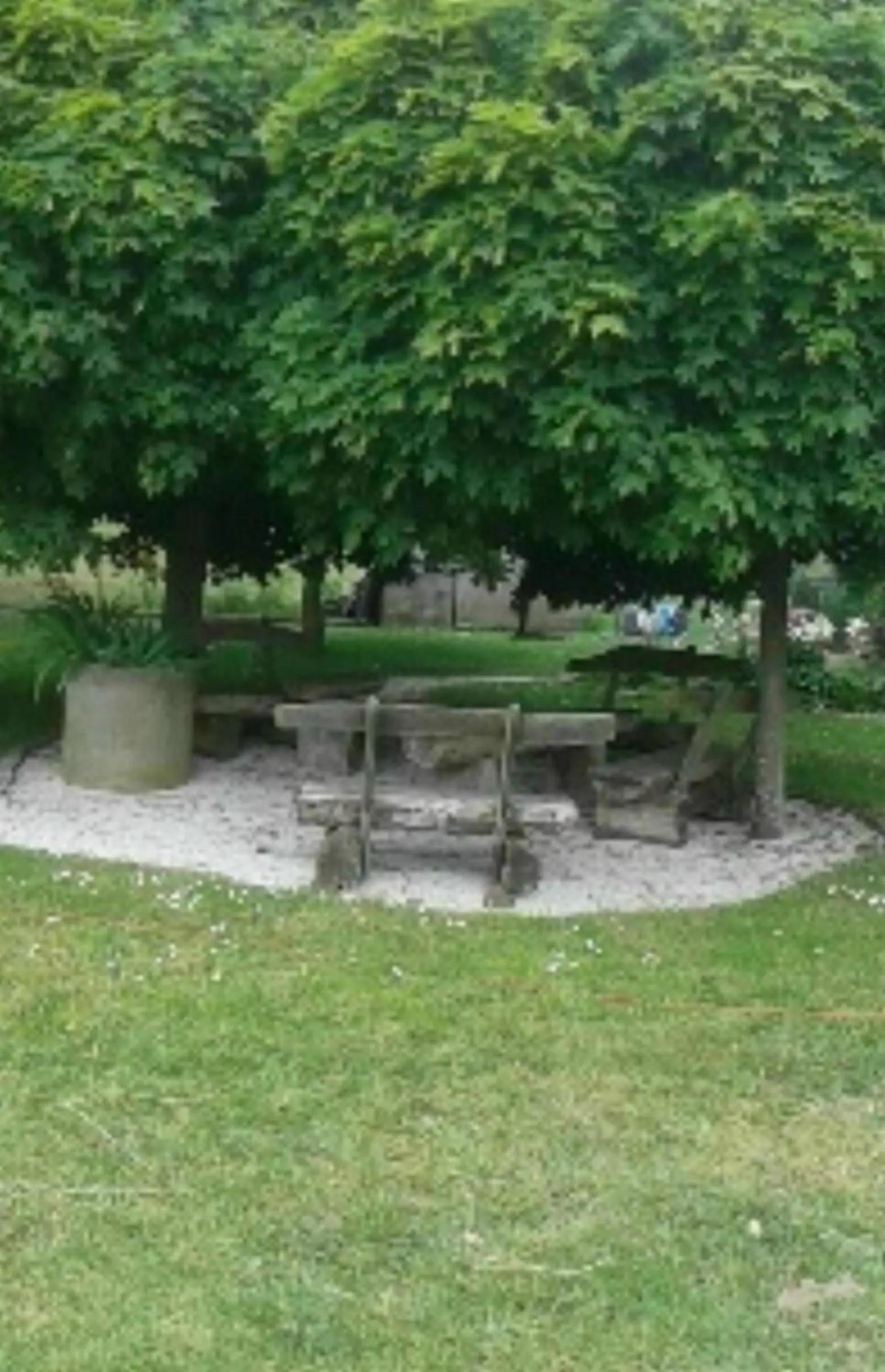 Garden in Stierstall-Suite Pension Wahlenau