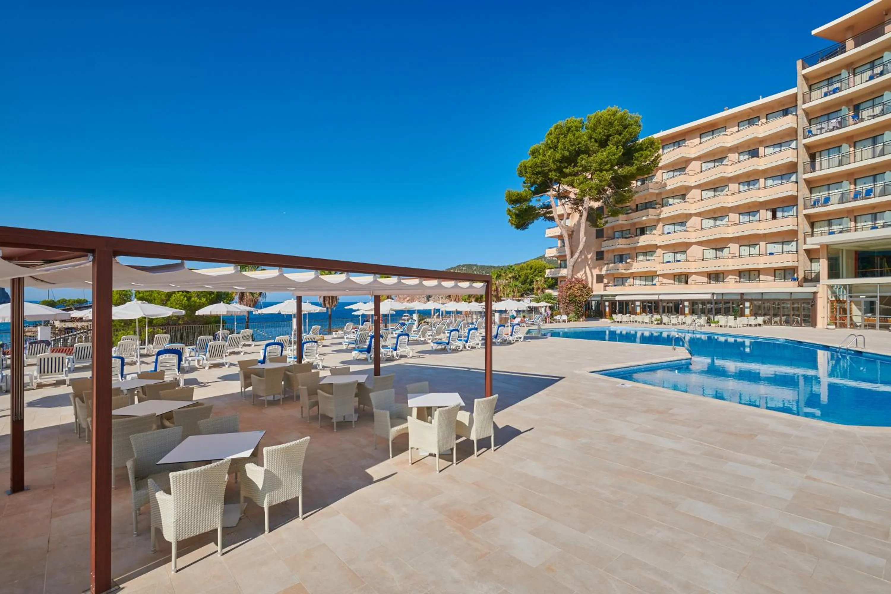 Swimming pool in Grupotel Playa Camp de Mar - Adults Only