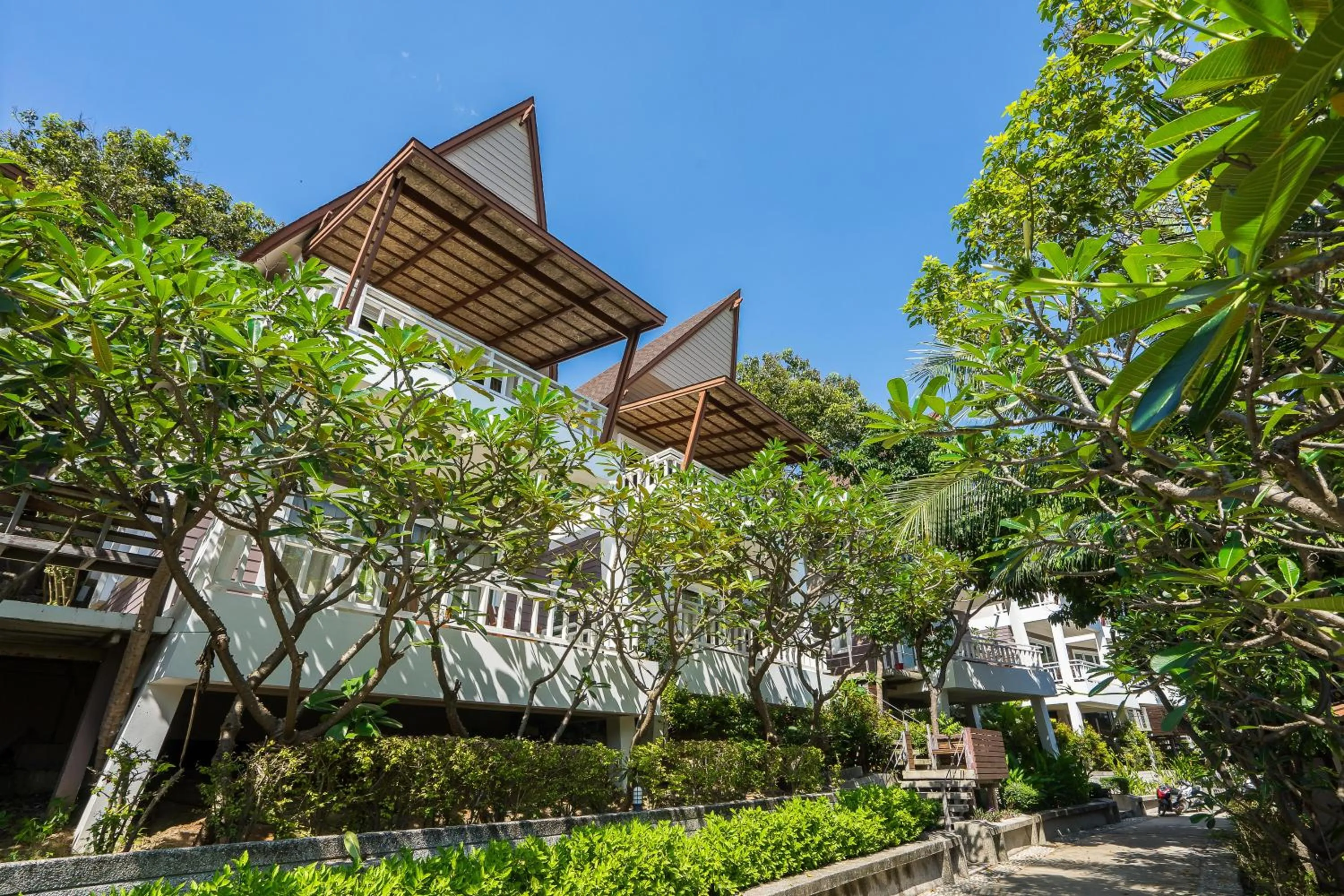 Garden in Cocohut Beach Resort Koh Phangan