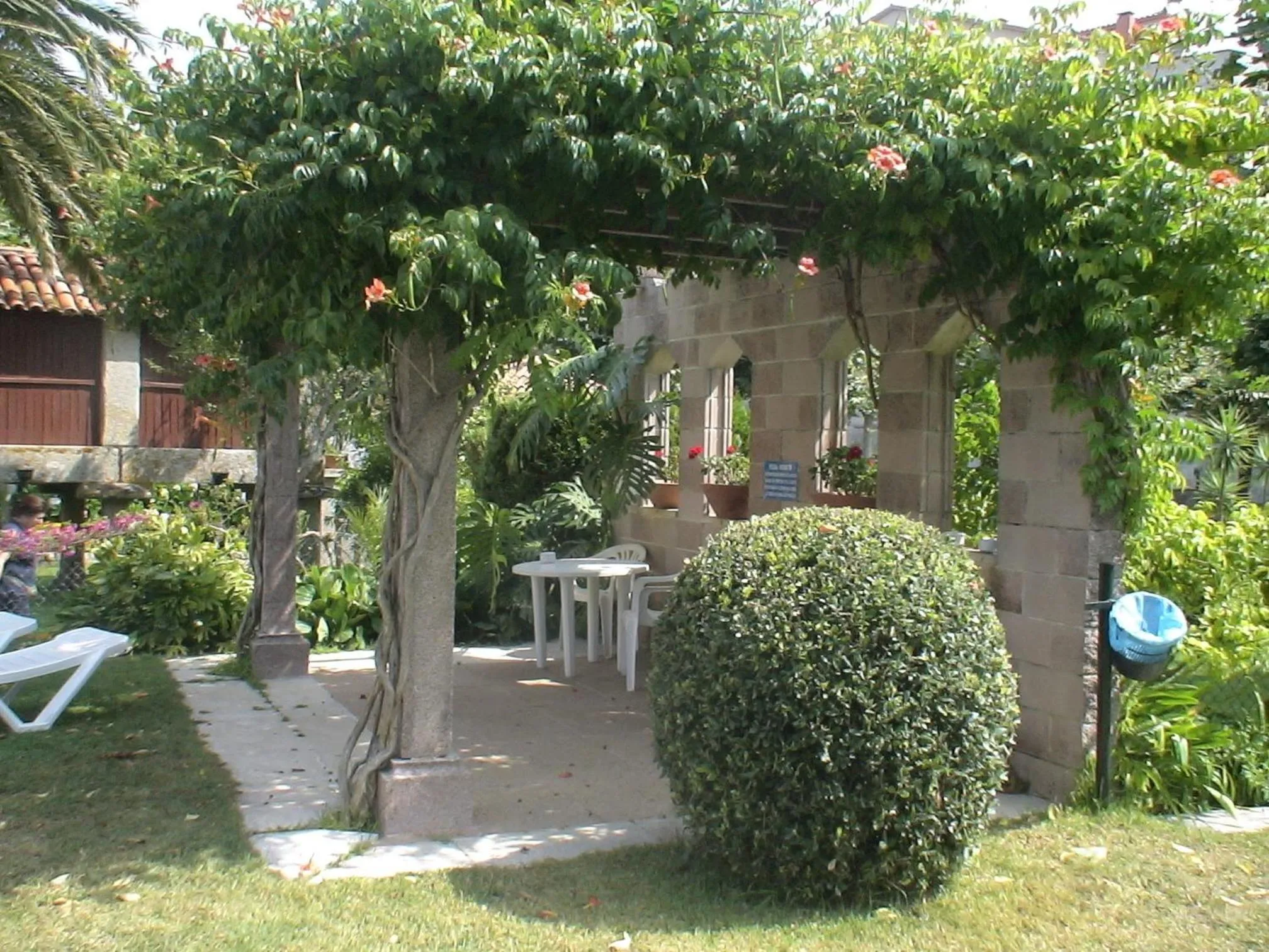 Garden in Apartamentos Revo Salinas 3000