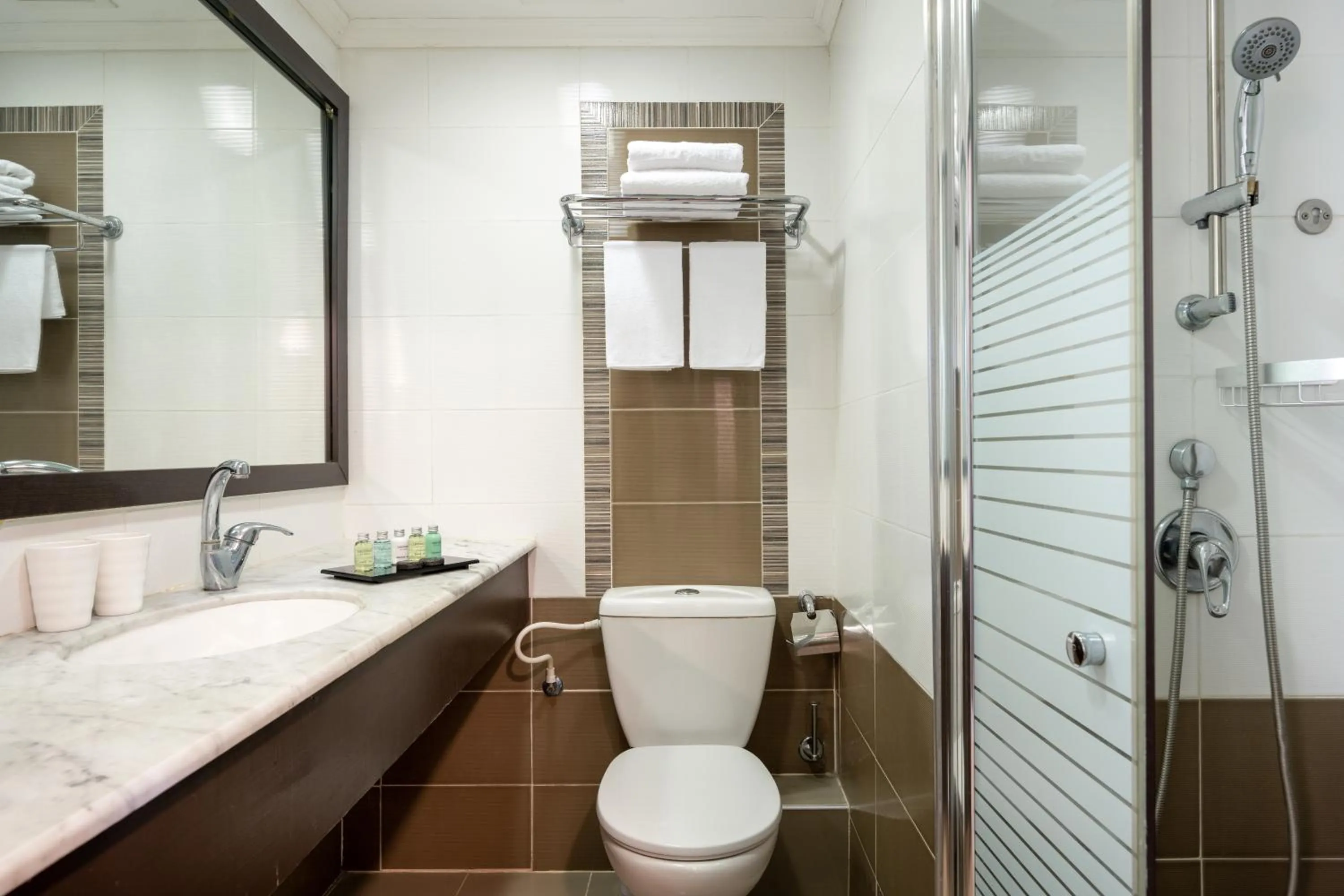 Bathroom in Leonardo Inn Hotel Dead Sea