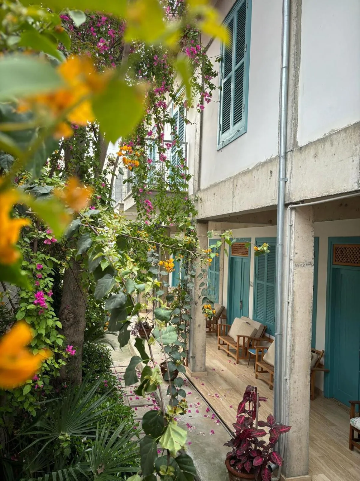 Garden in NICOSIA EAGLE EYE