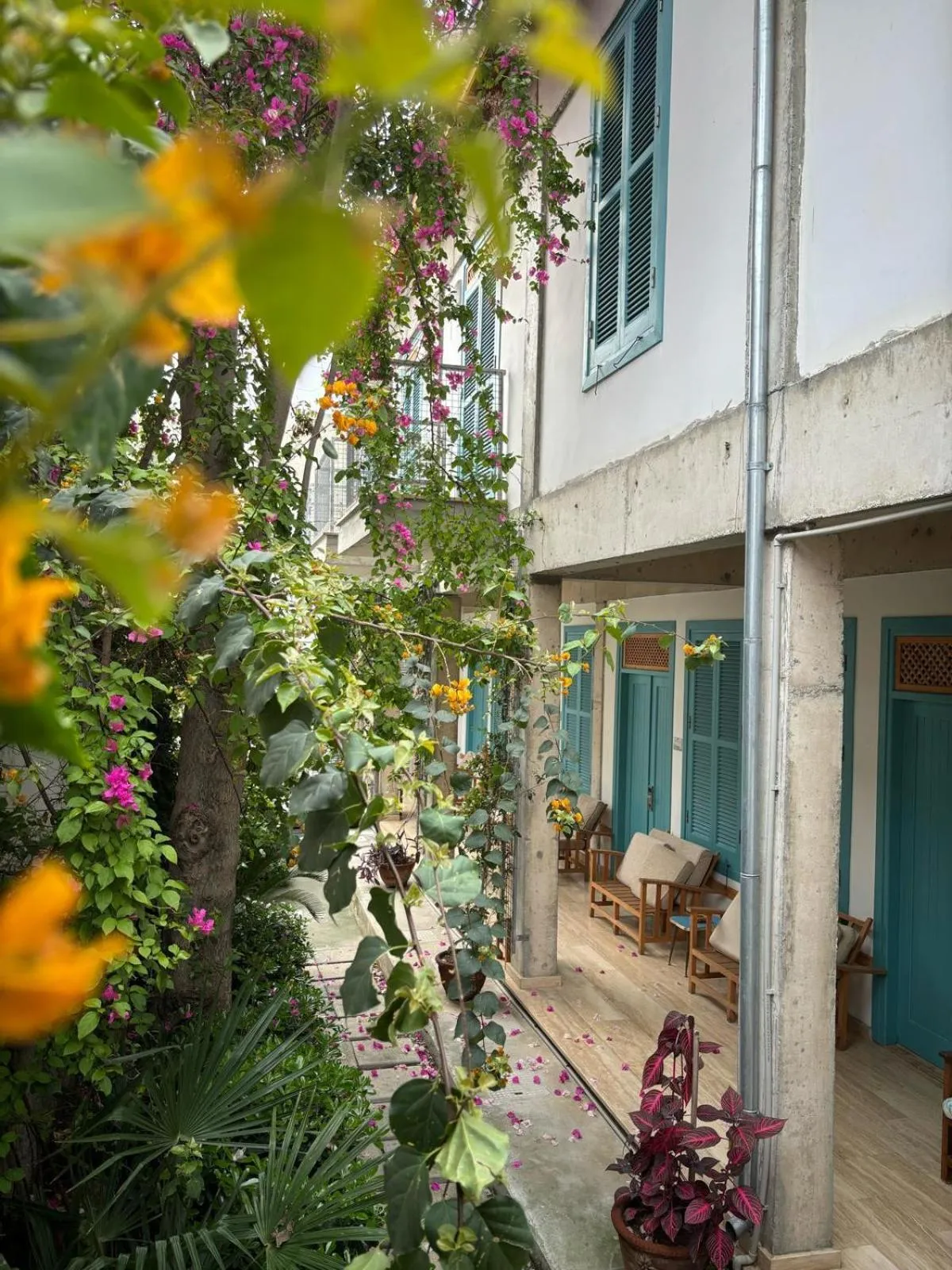 Garden in NICOSIA EAGLE EYE