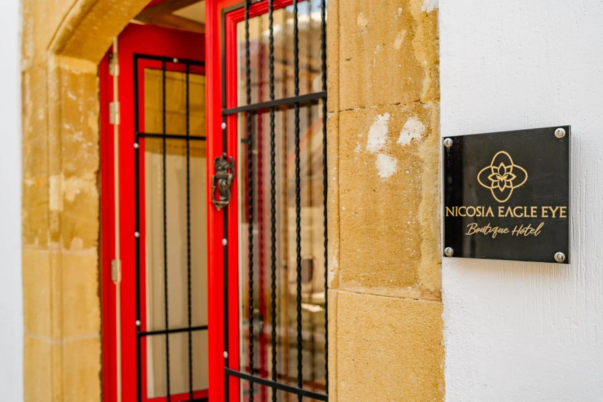 Property building in NICOSIA EAGLE EYE