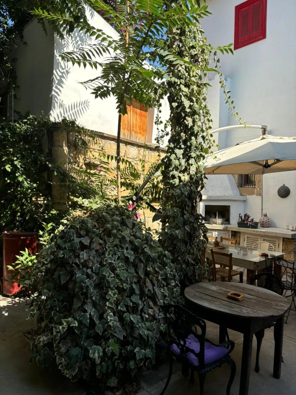 Garden in NICOSIA EAGLE EYE