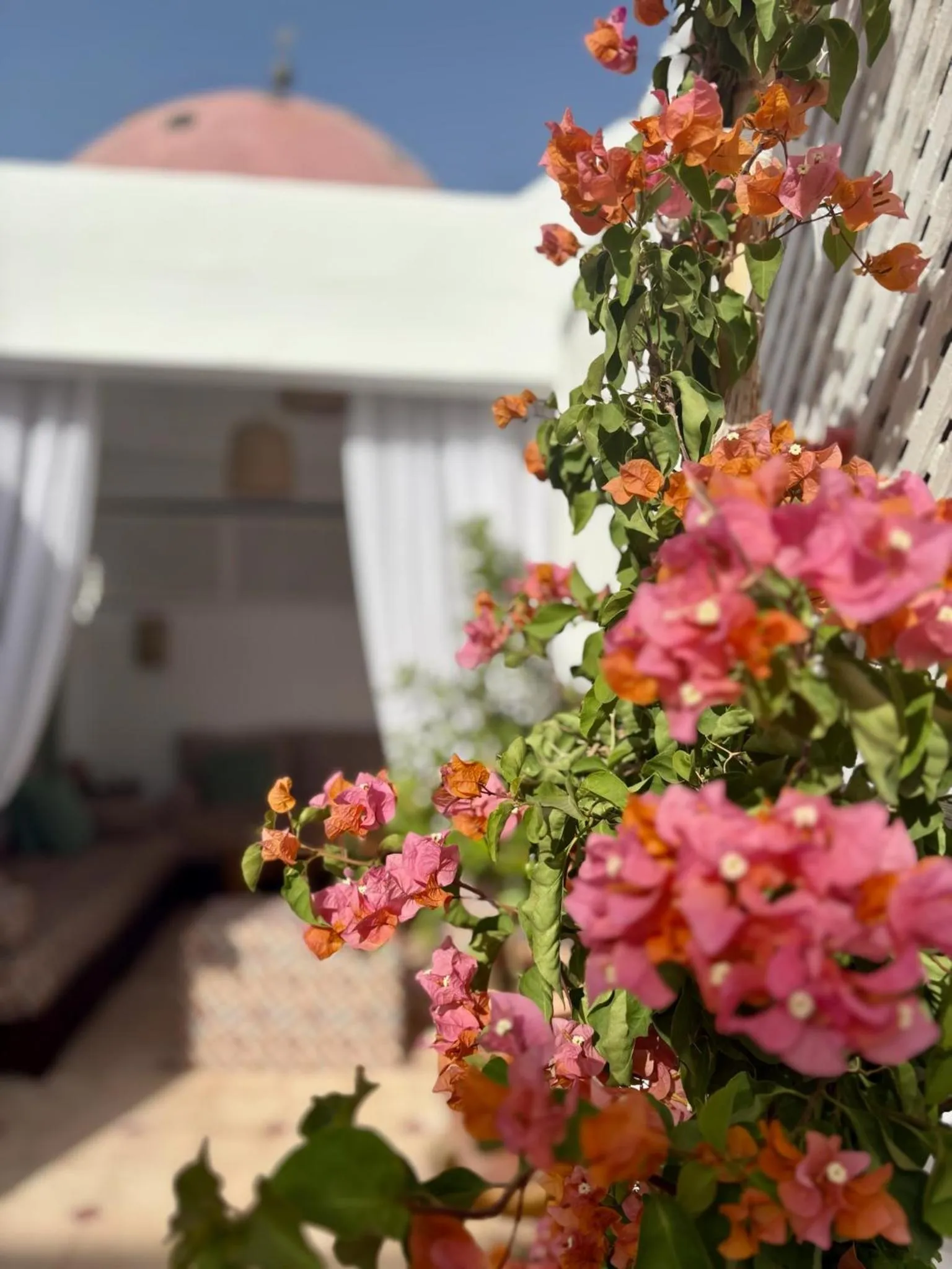 Balcony/Terrace in Riad la Cigale