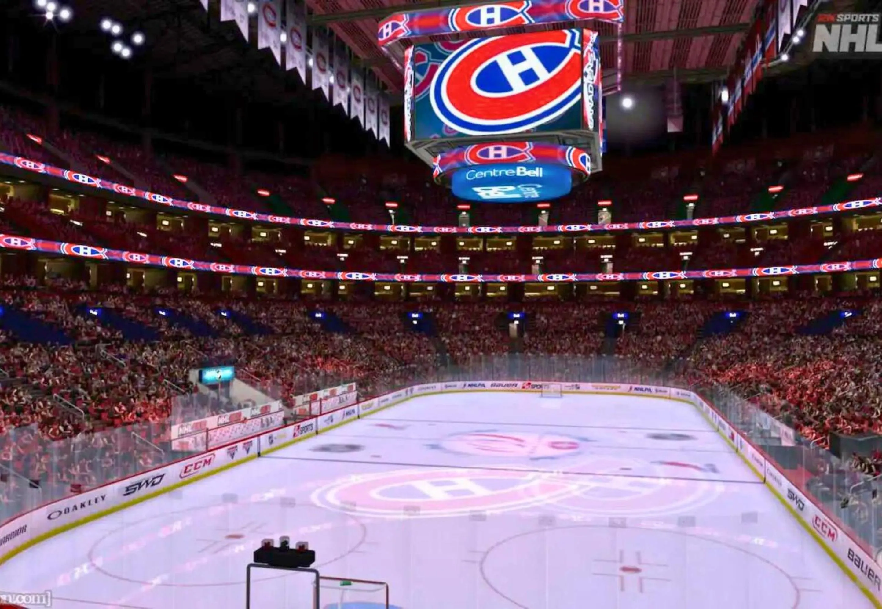 Sports in LiV MTL MTL