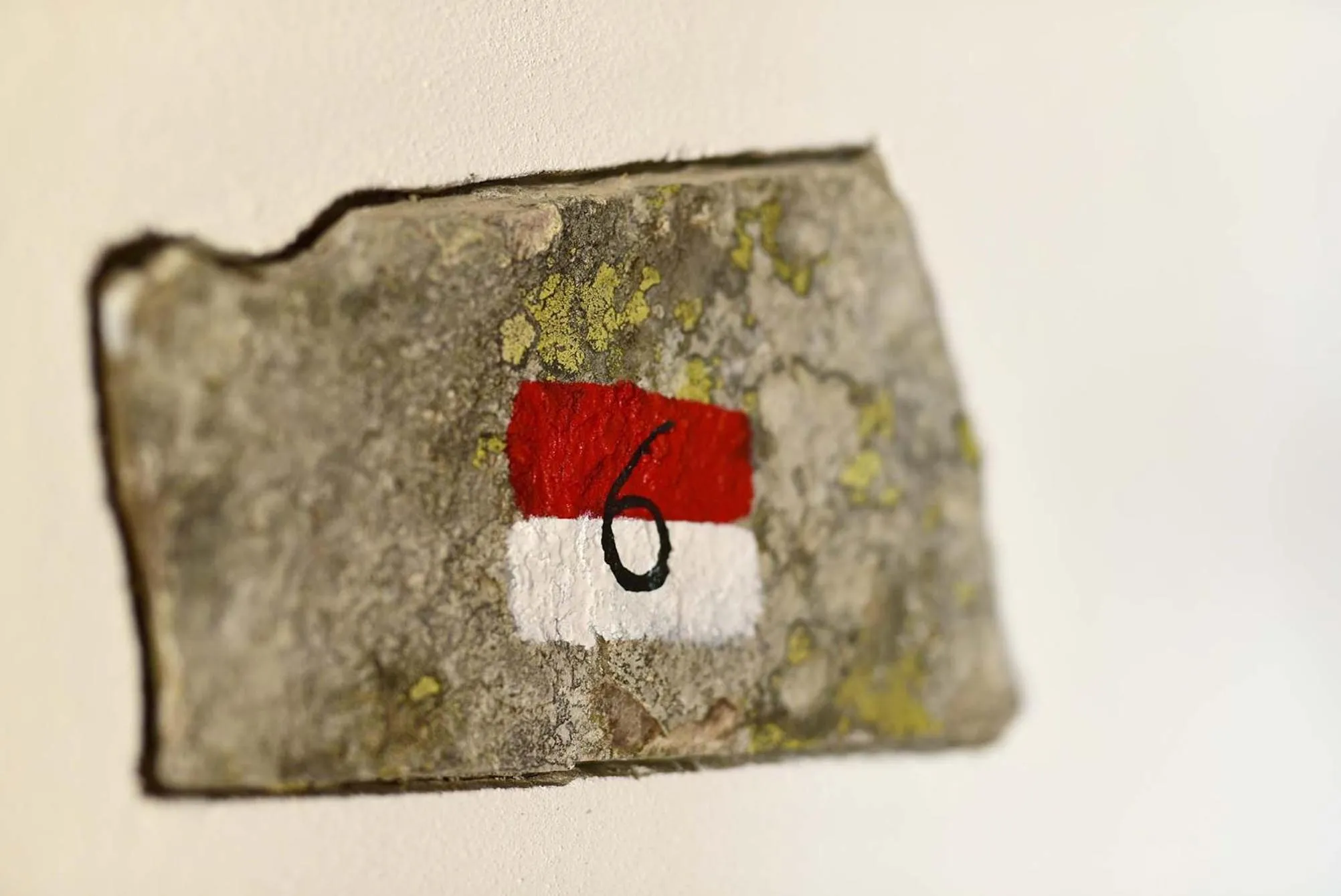 Decorative detail in Hotel Naturoase Schwemmerhof