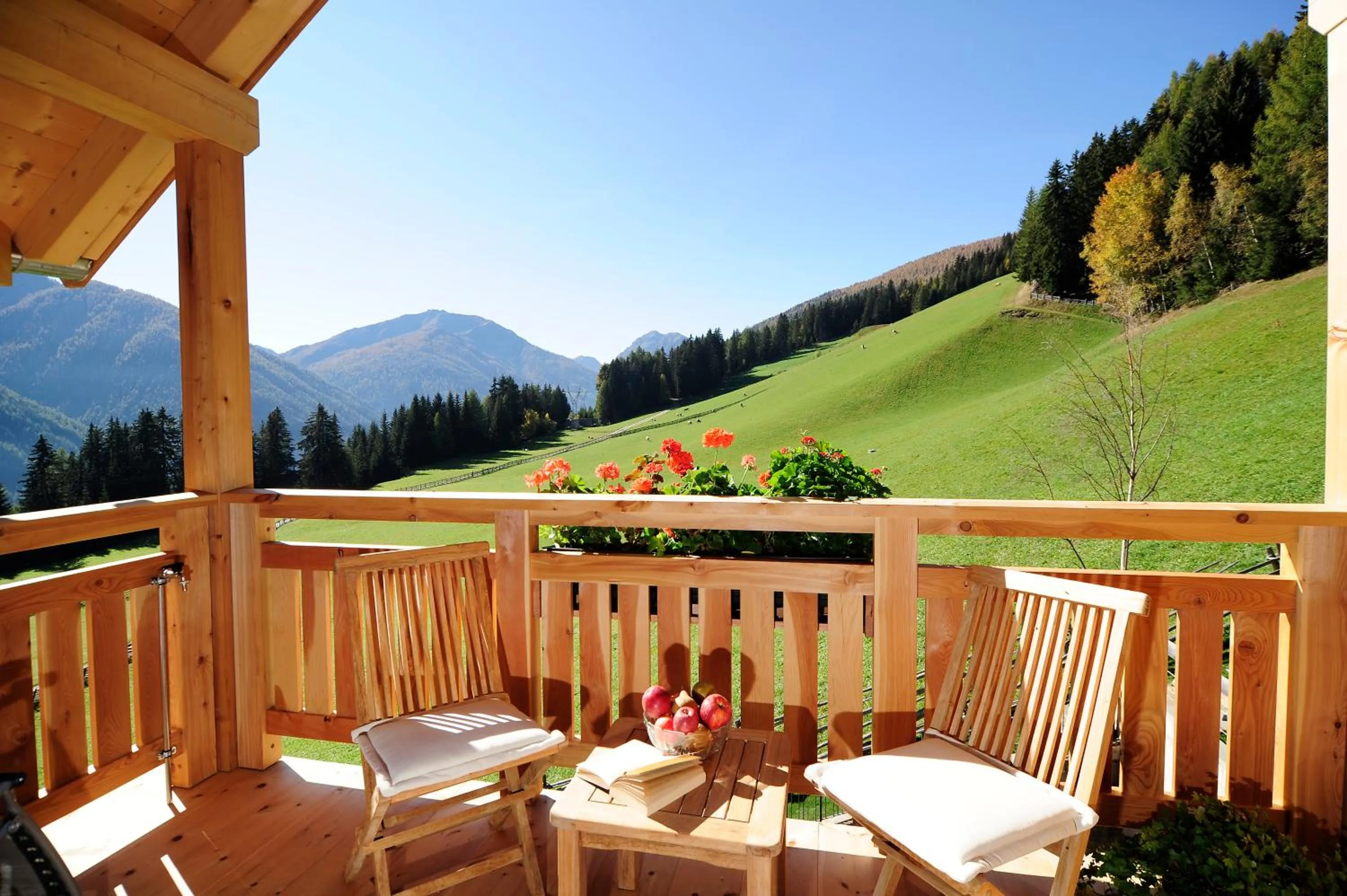 Balcony/Terrace in Hotel Naturoase Schwemmerhof