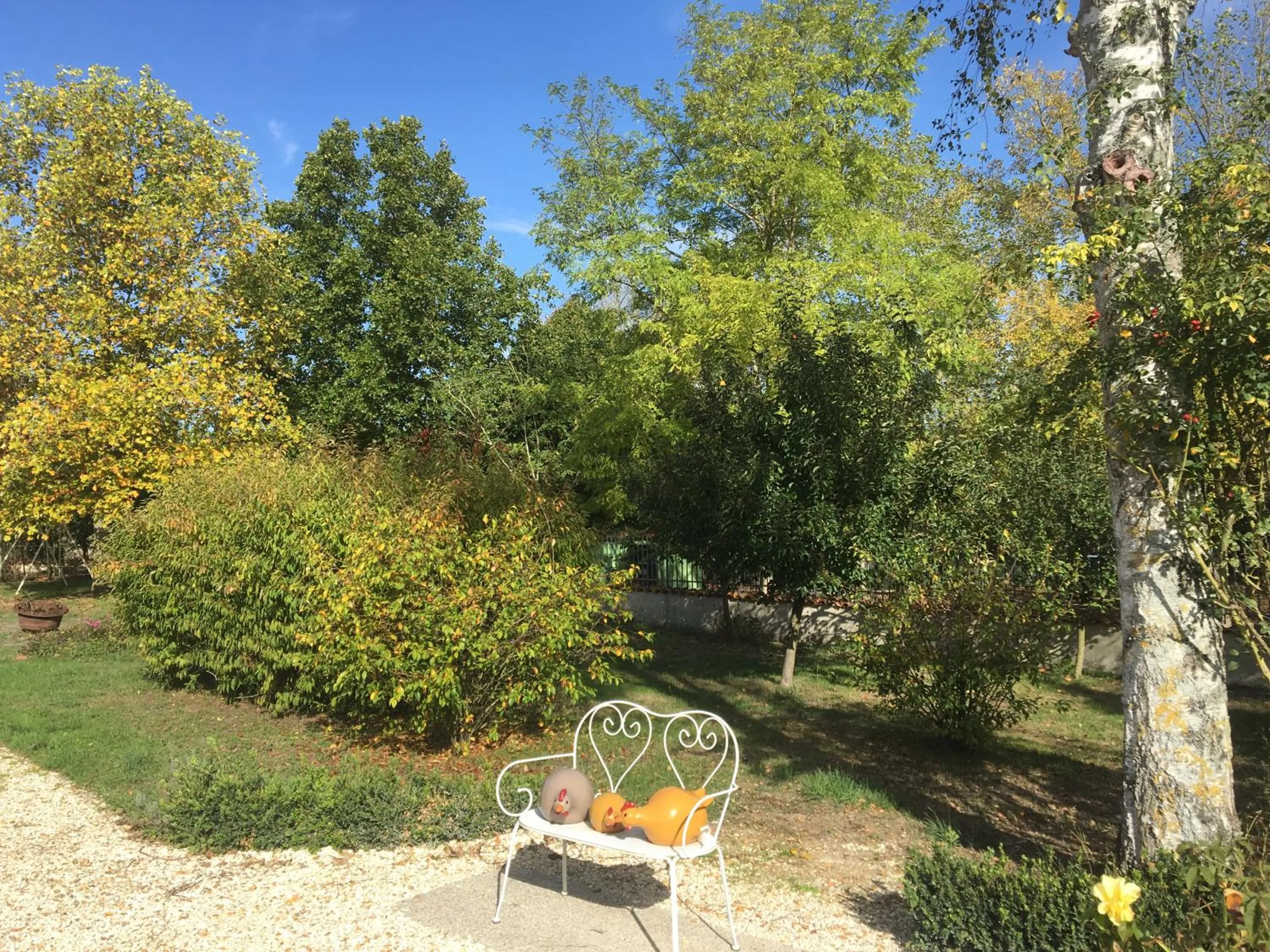 Garden in Maison d'hôtes La Chabanaise - Marais Poitevin
