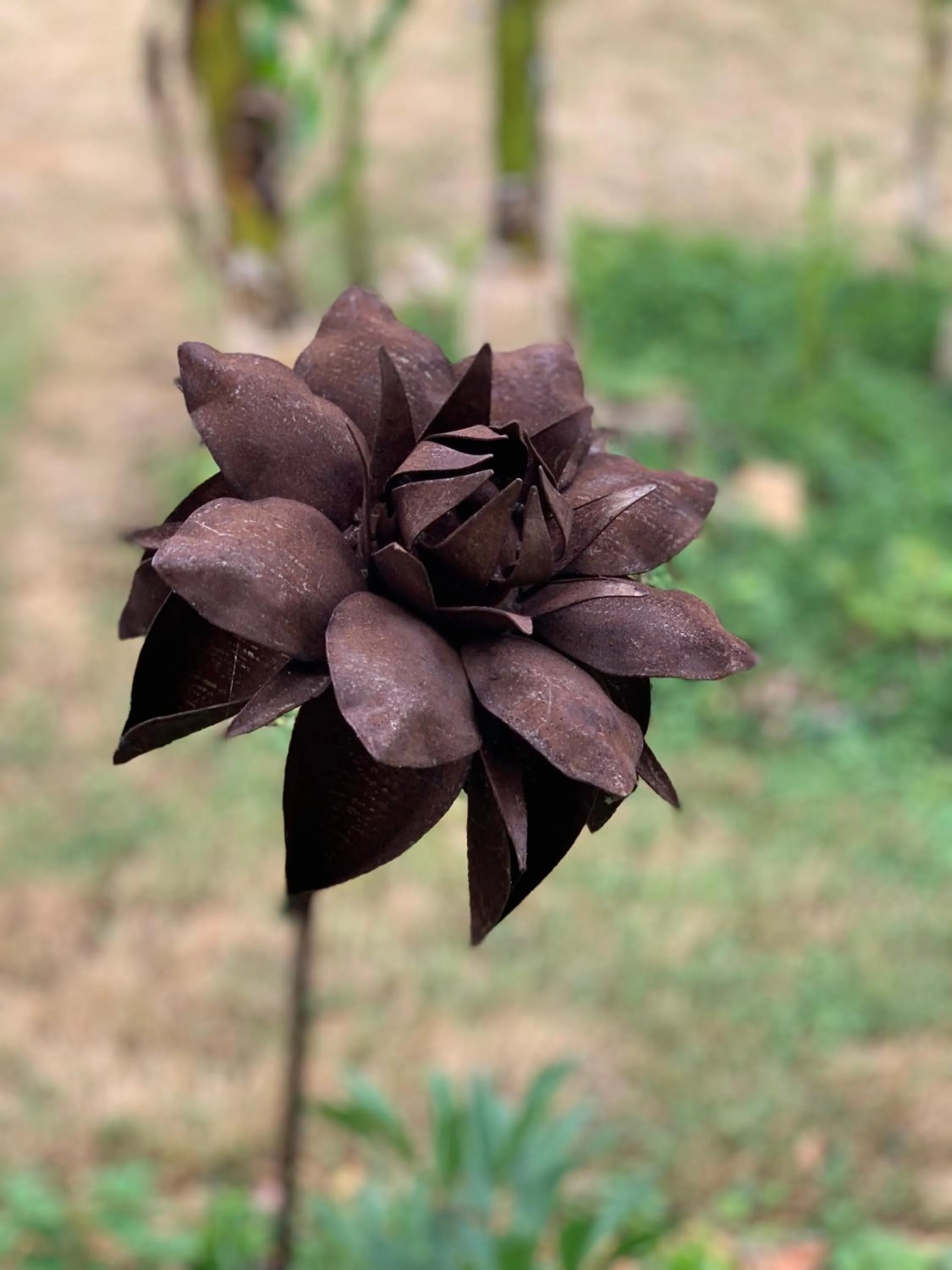 Property building in Maison d'hôtes La Chabanaise - Marais Poitevin