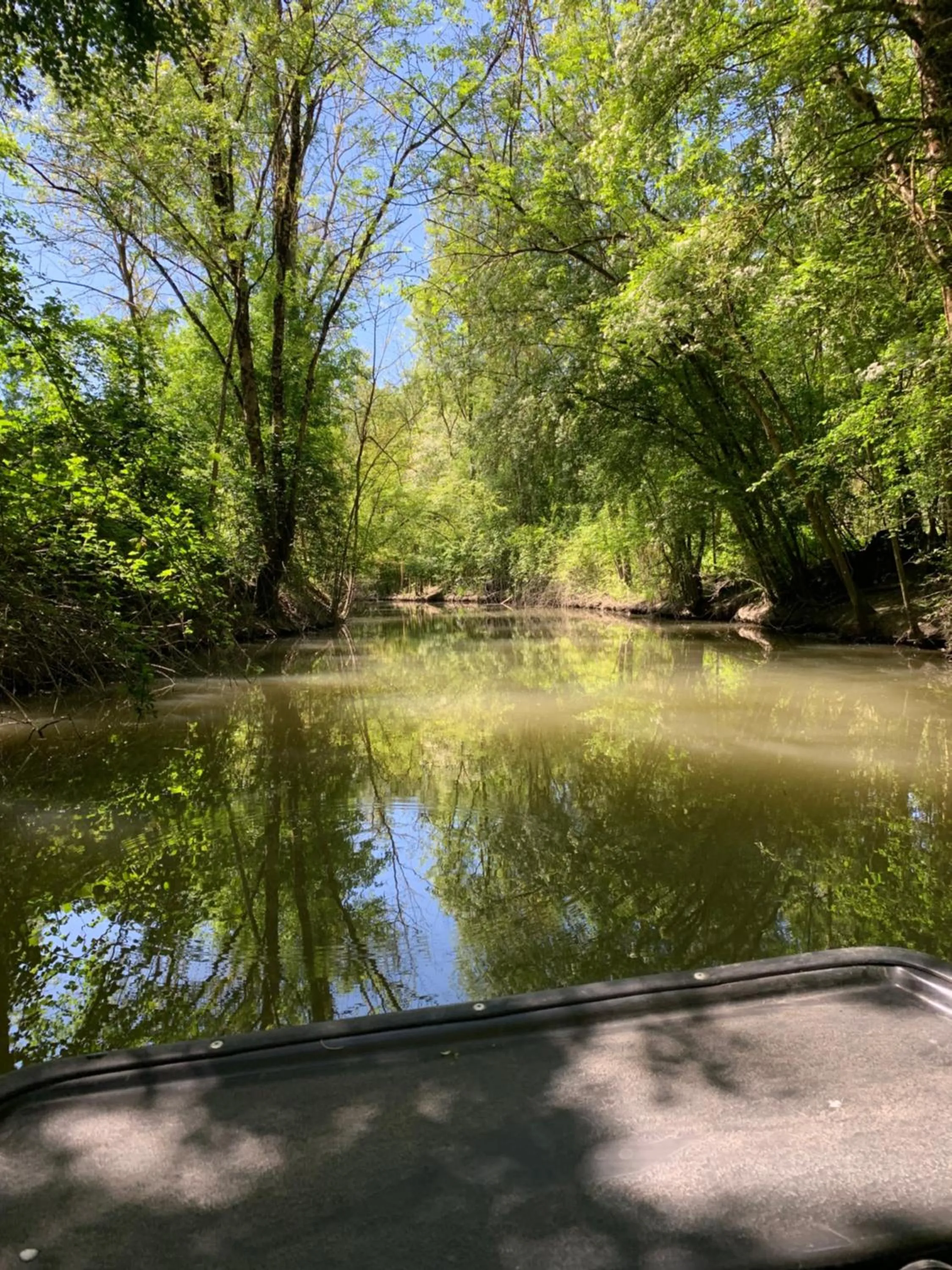 River view in Maison d'hôtes La Chabanaise - Marais Poitevin