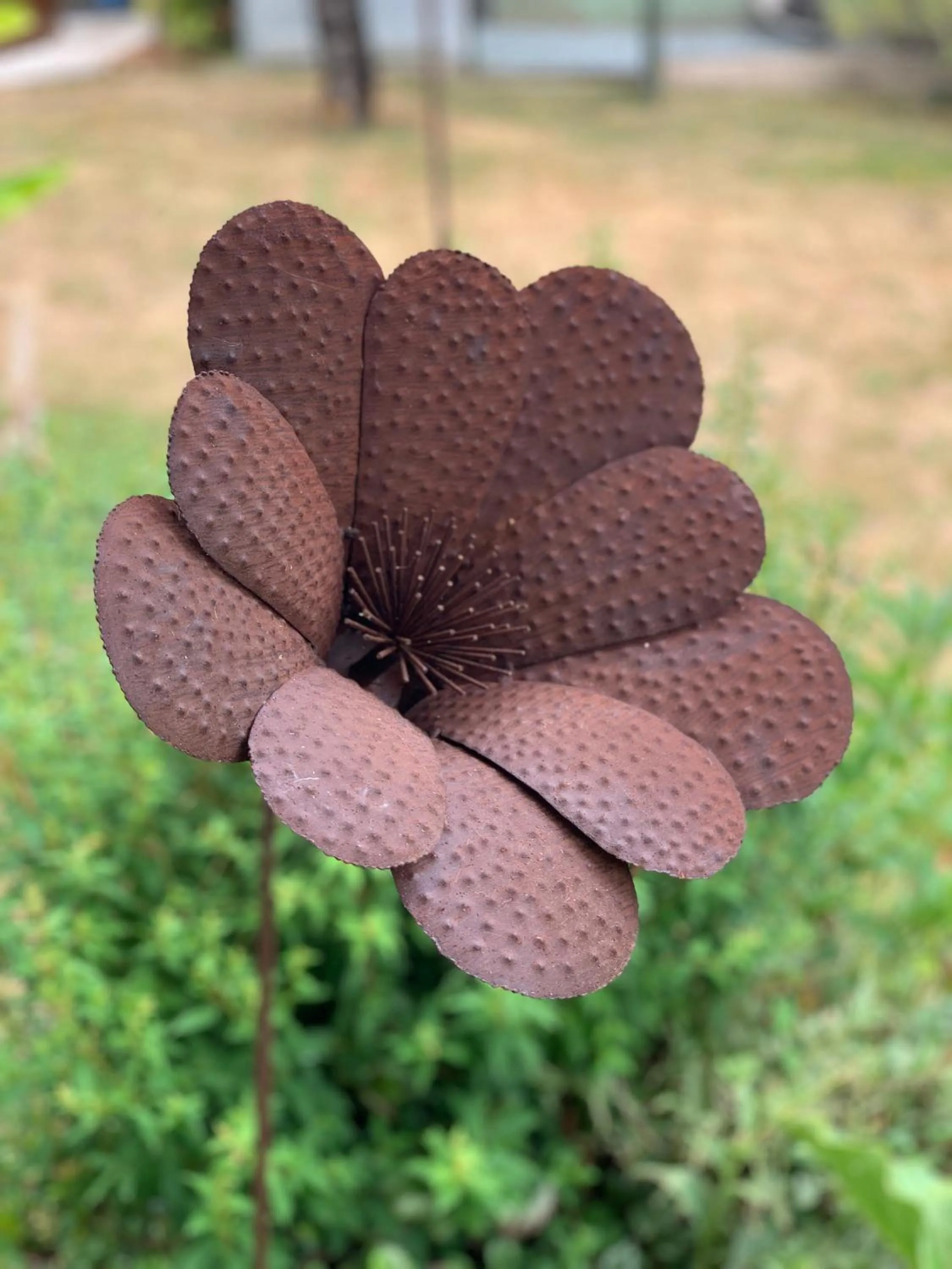 Property building in Maison d'hôtes La Chabanaise - Marais Poitevin