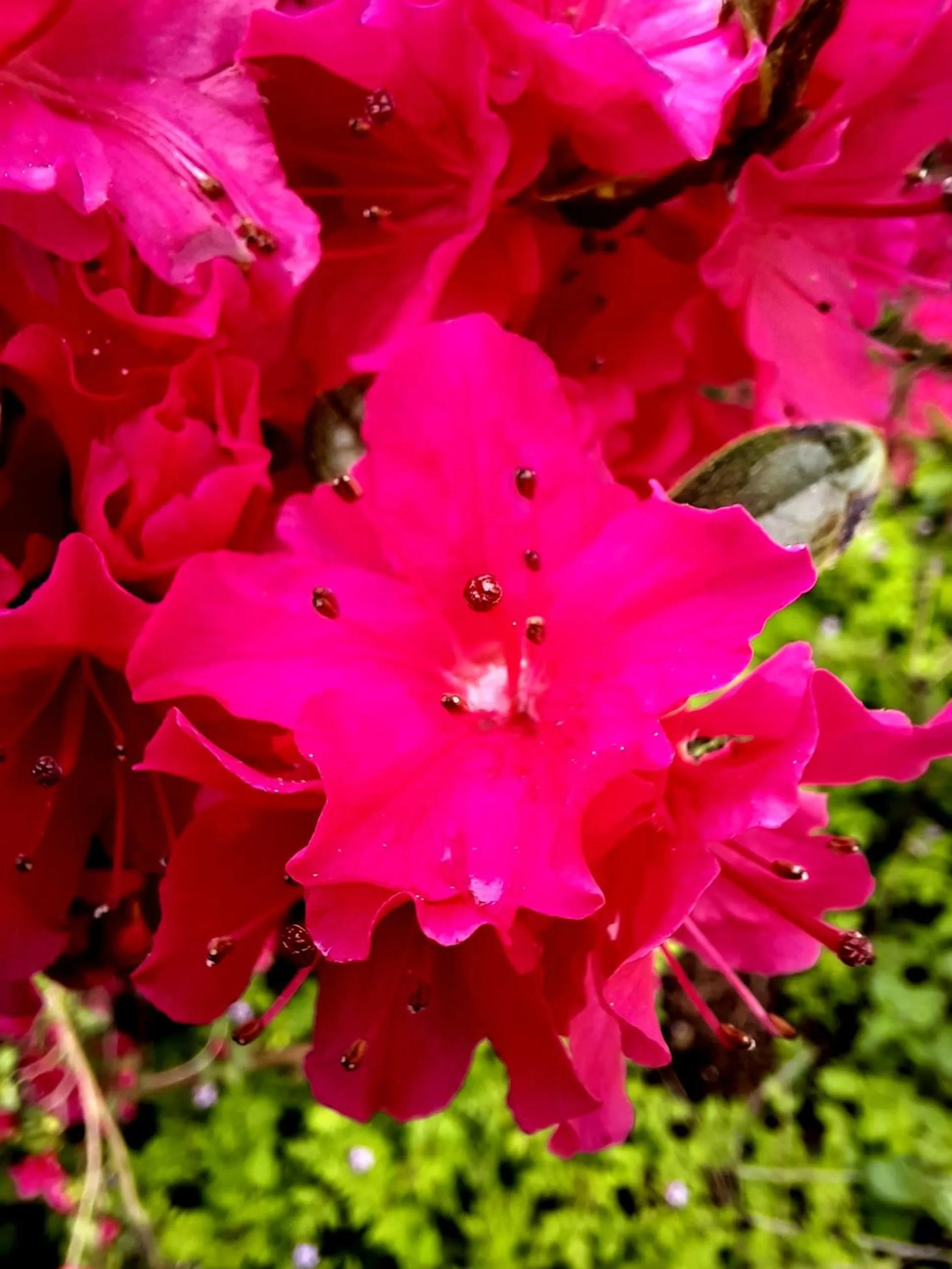 Off site in Hotel Floret