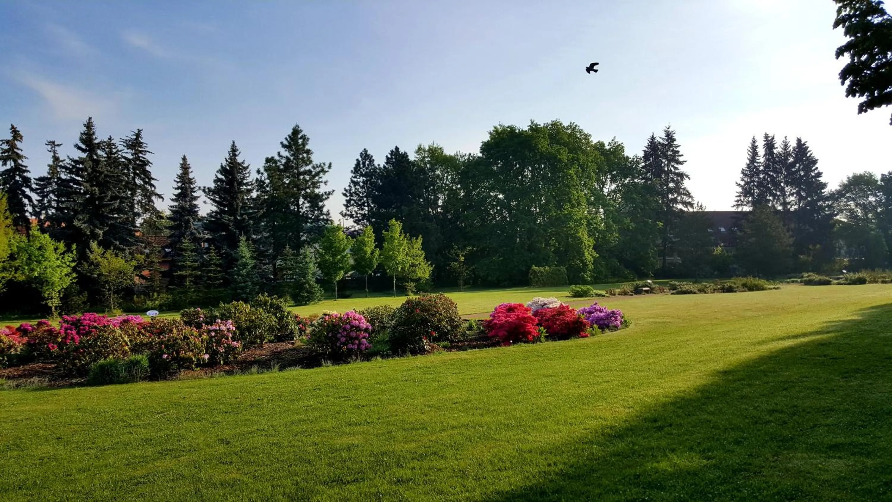 Off site in Hotel Floret